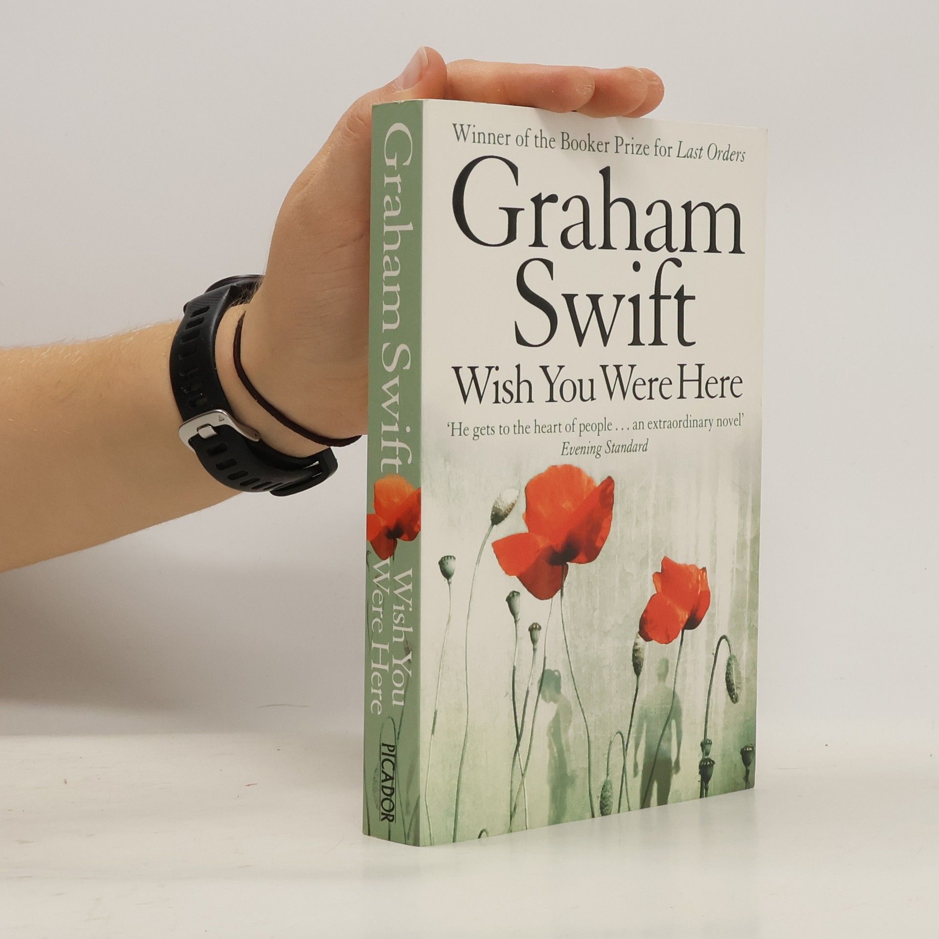Graham Swift Wish You Were Here