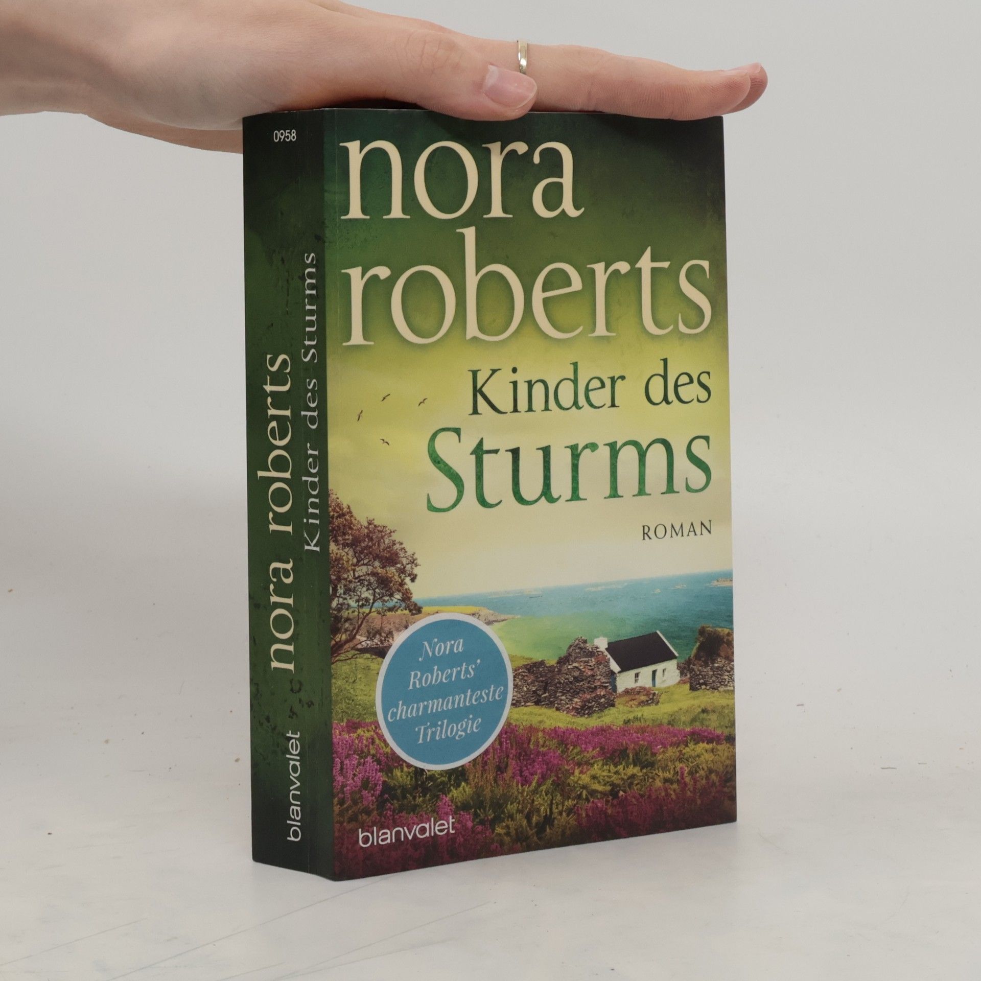Nora Roberts Kinder des Sturms