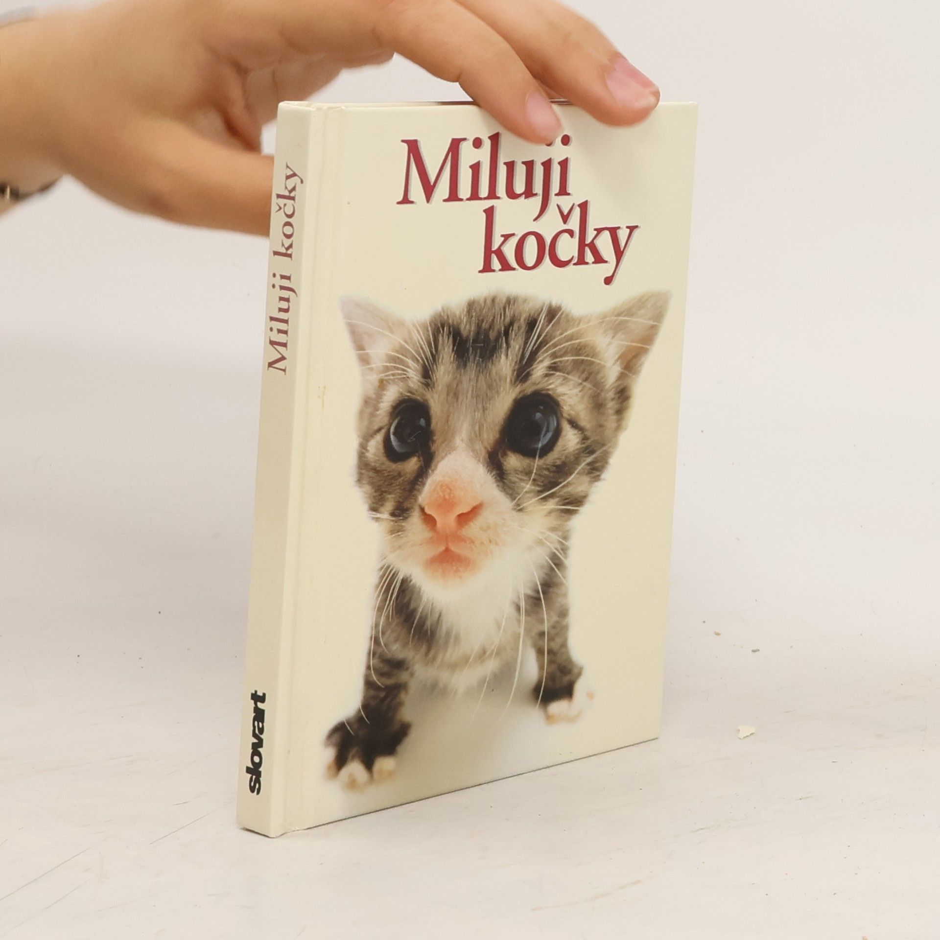 Yoneo Morita Miluji kočky