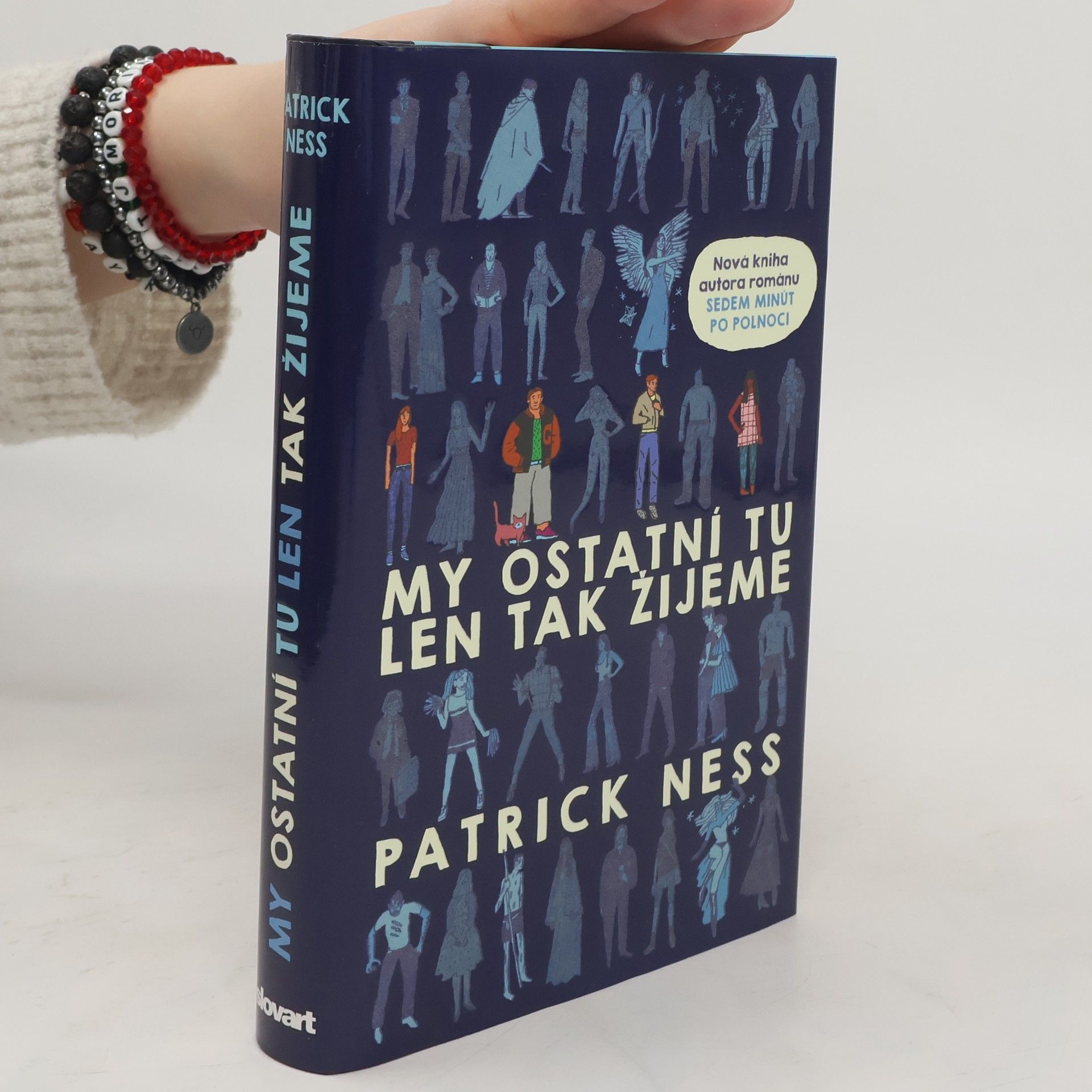 Patrick Ness My ostatní tu len tak žijeme