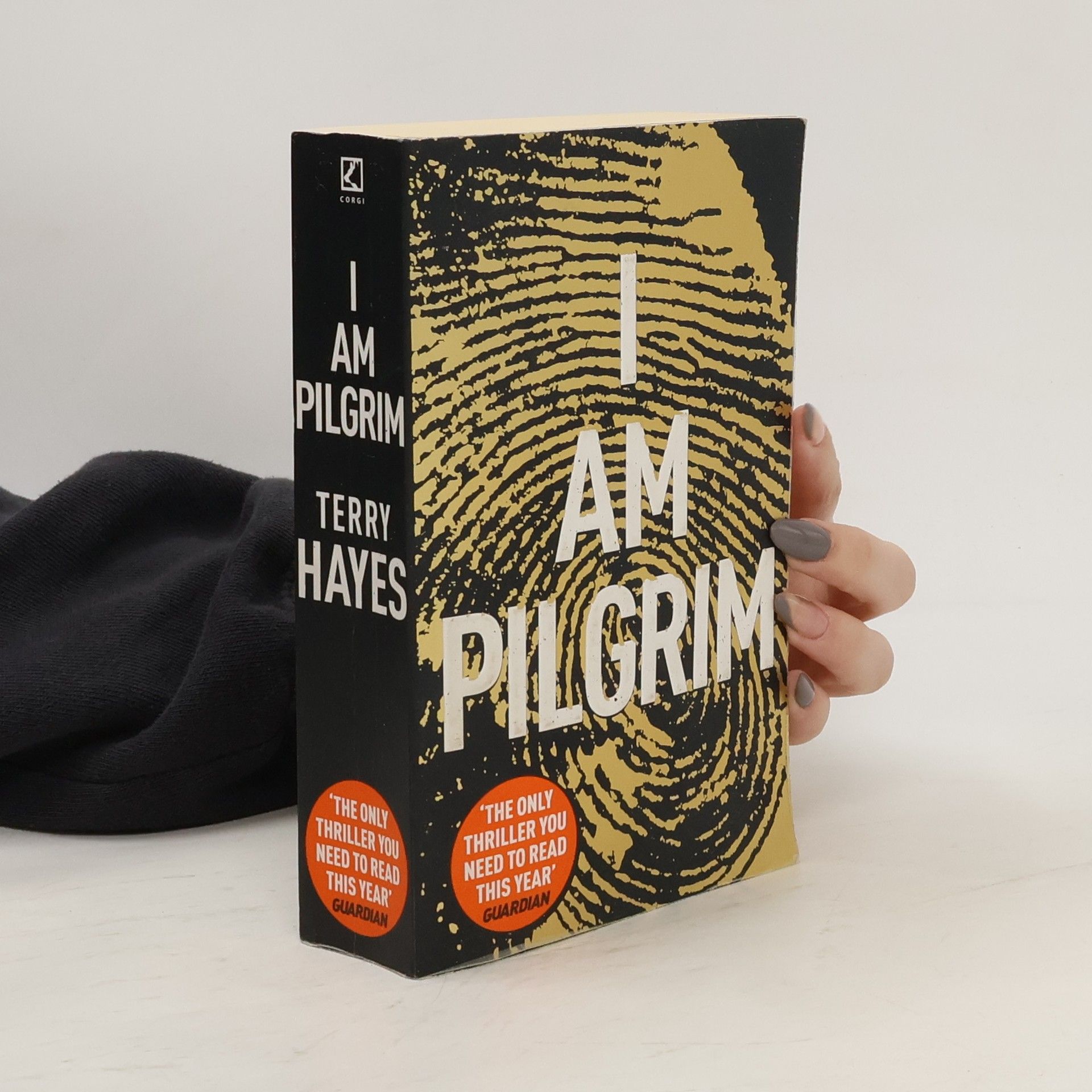 Terry Hayes I am Pilgrim