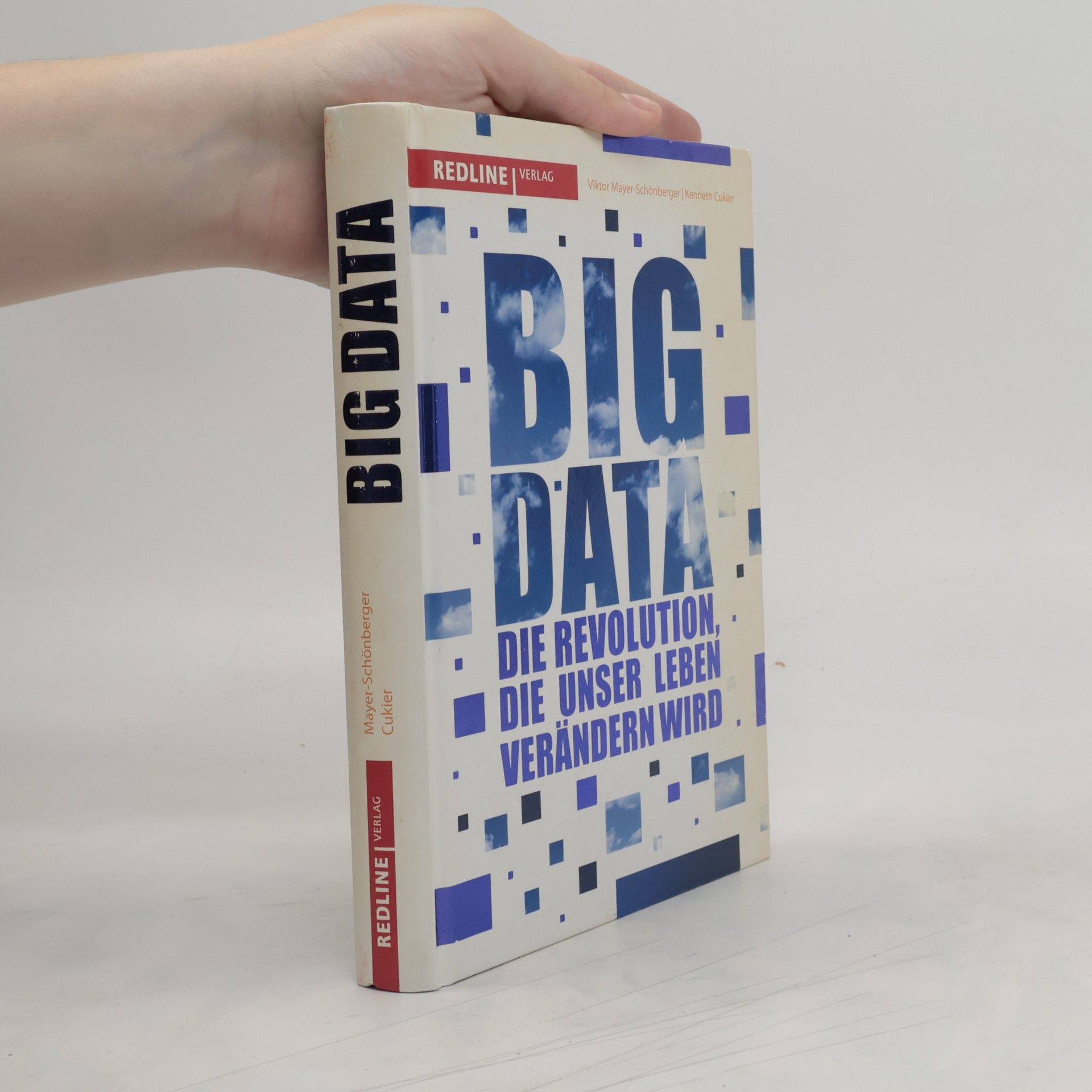 Viktor Mayer-Schönberger Big Data