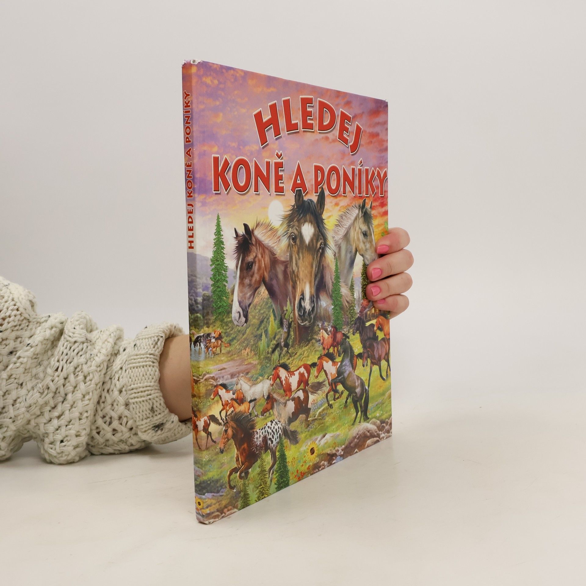 Francisco Arredondo Hledej koně a poníky