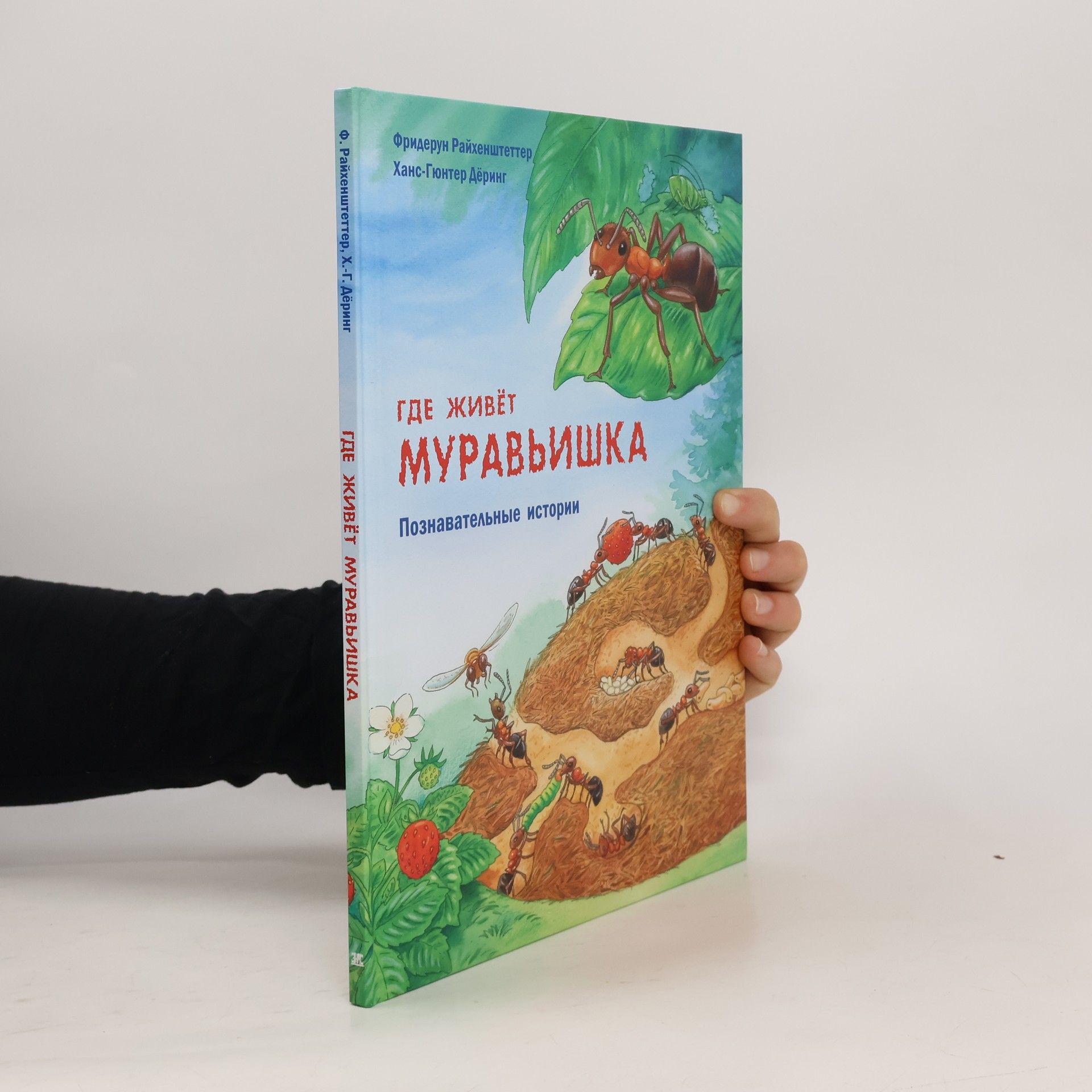 Friederun Reichenstetter Где живёт муравьишка