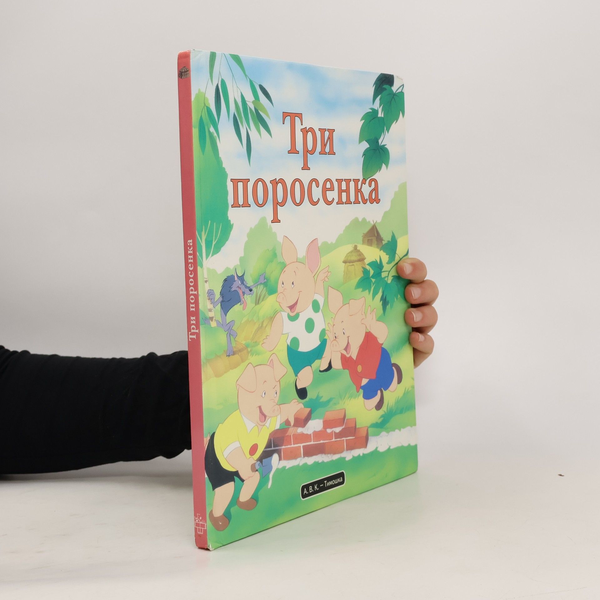 Van Gool Три поросёнка