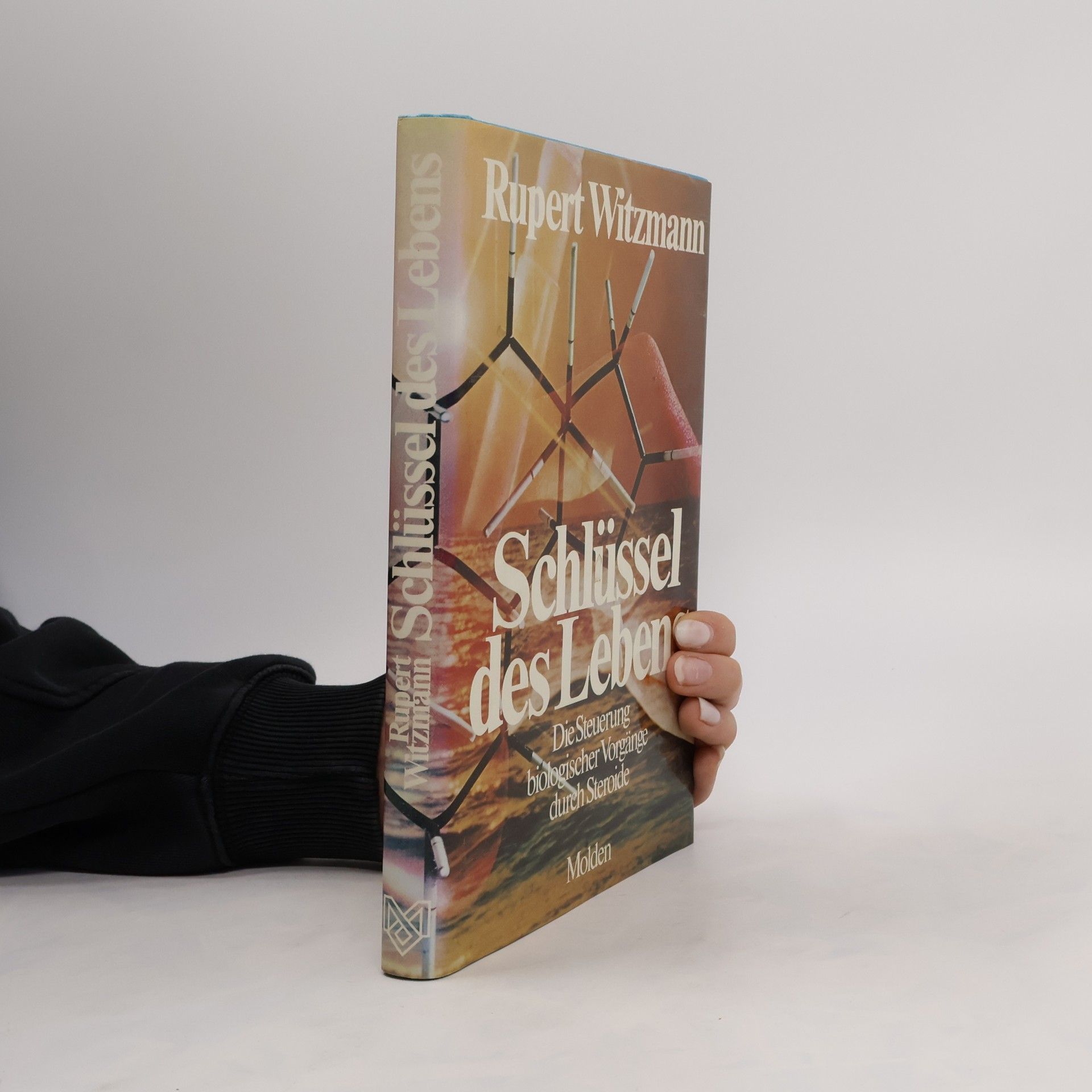 Rupert Witzmann Schlüssel des Lebens