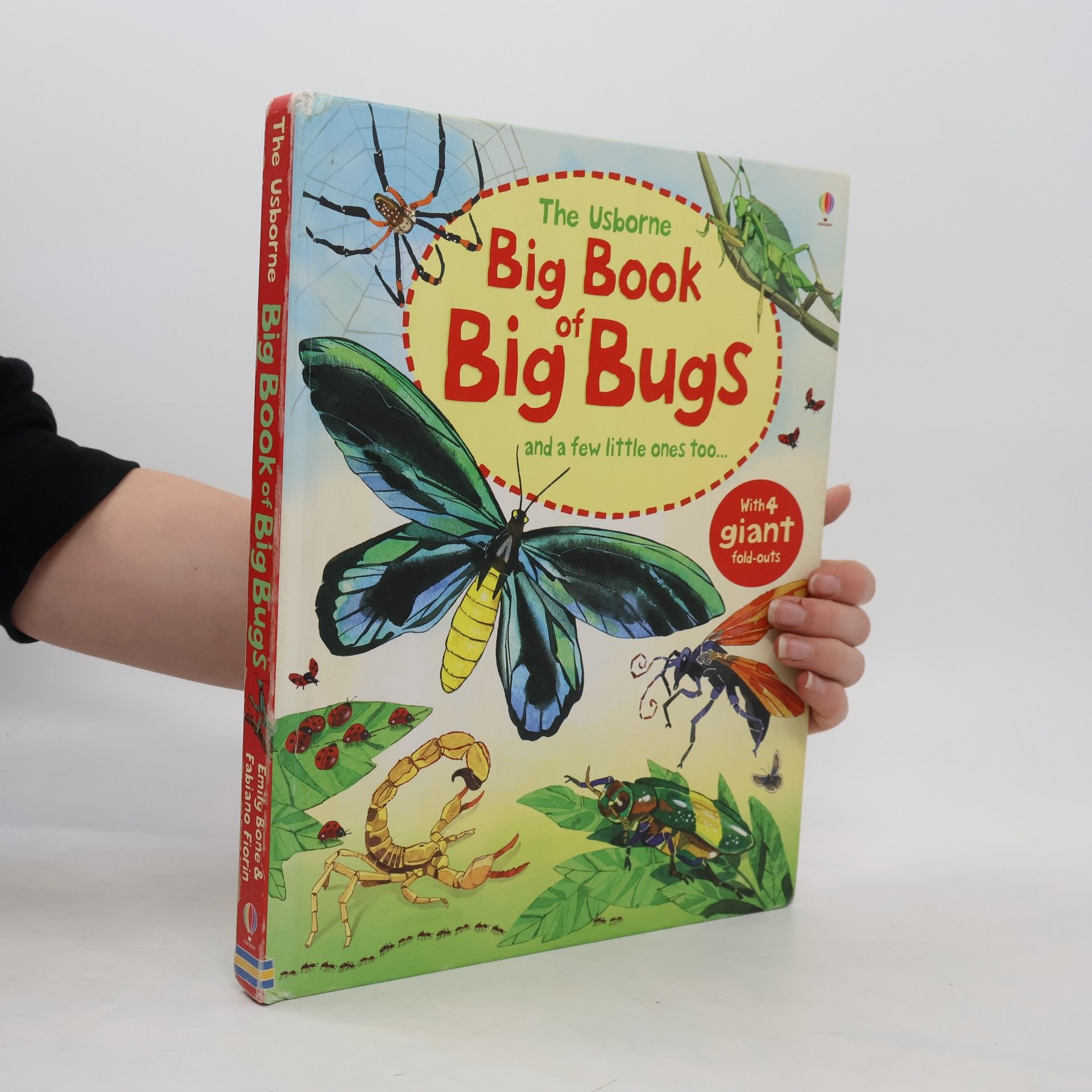 Emily Bone Big Book of Big Bugs