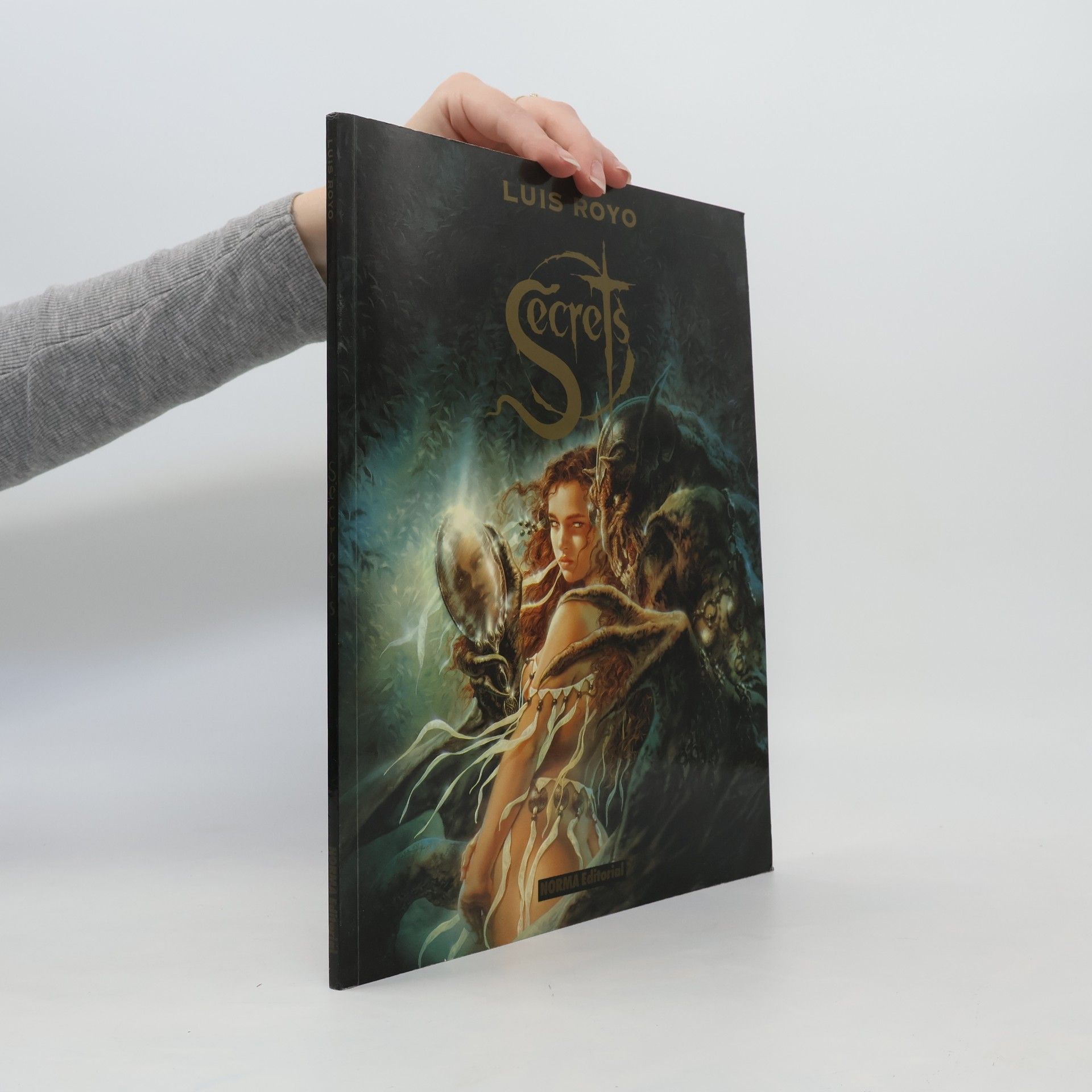 Luis Royo Secrets