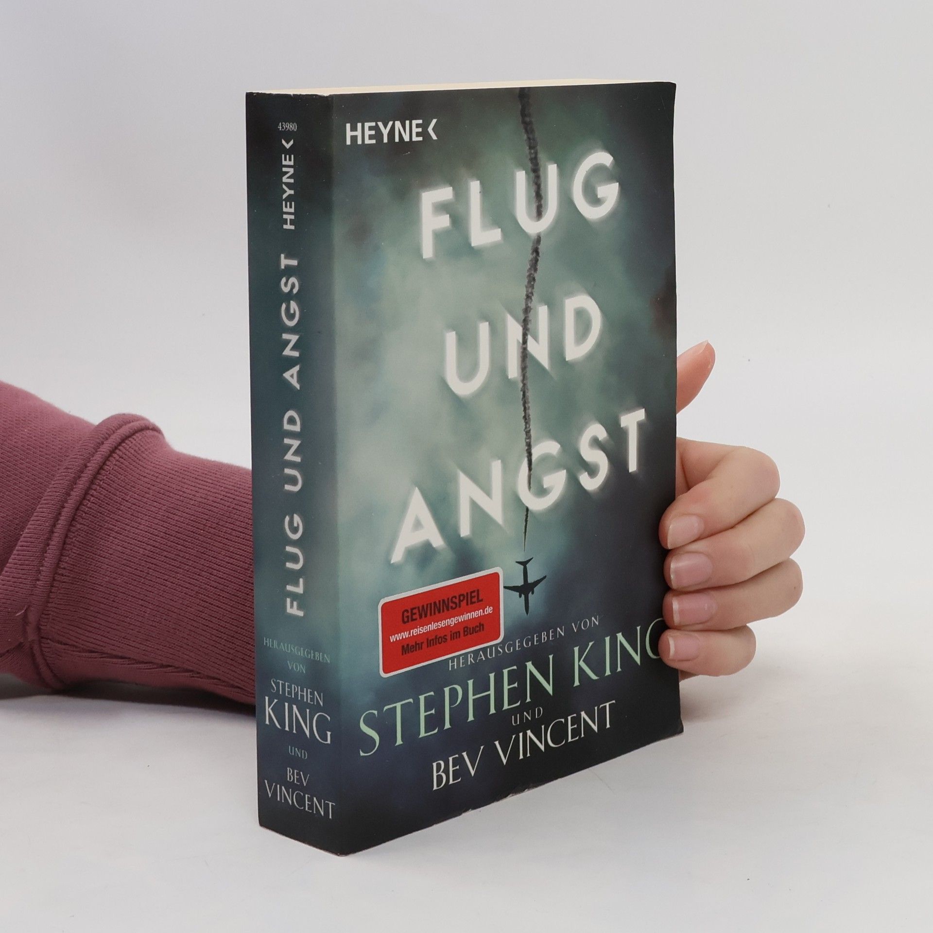Stephen King Flug und Angst