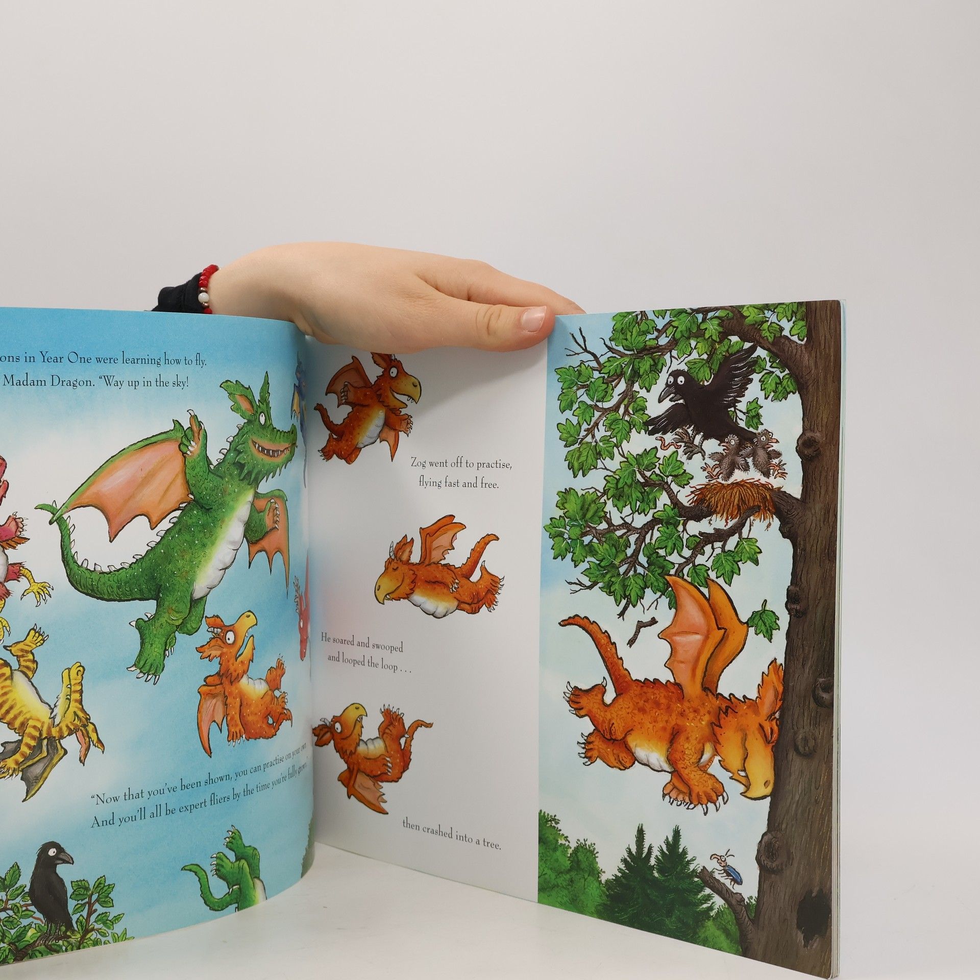 Axel Scheffler Zog
