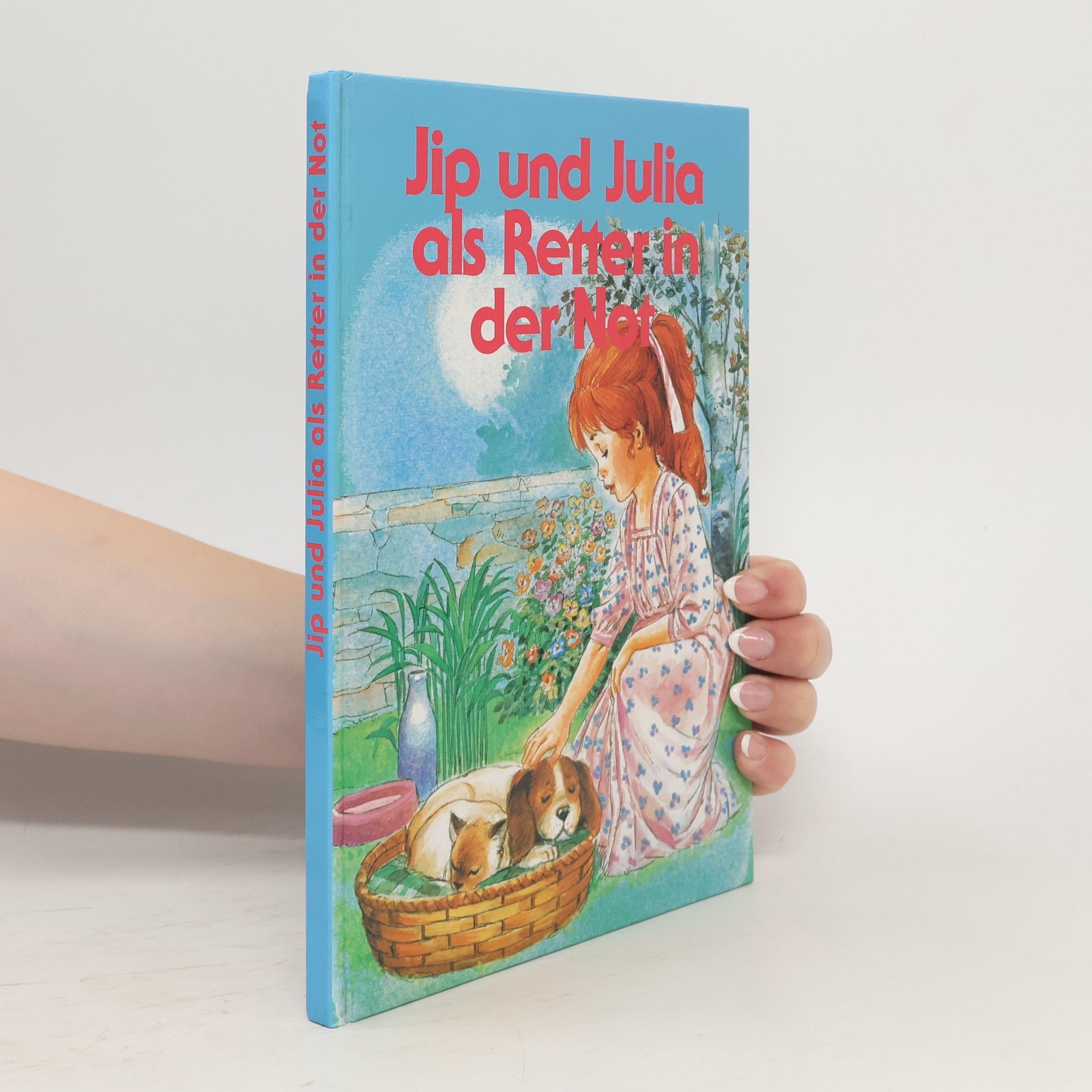 Collectif d'auteurs Jip und Julia als Retter in der Not