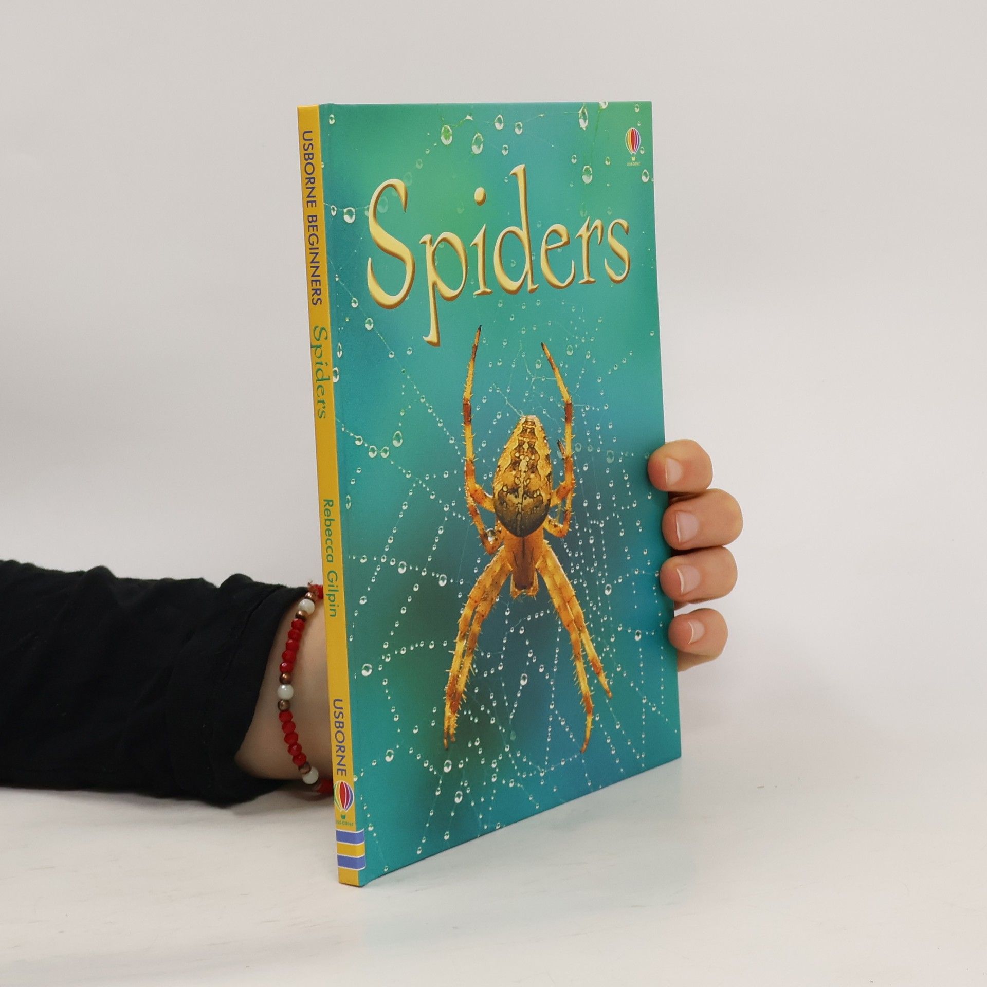 Rebecca Gilpin Spiders