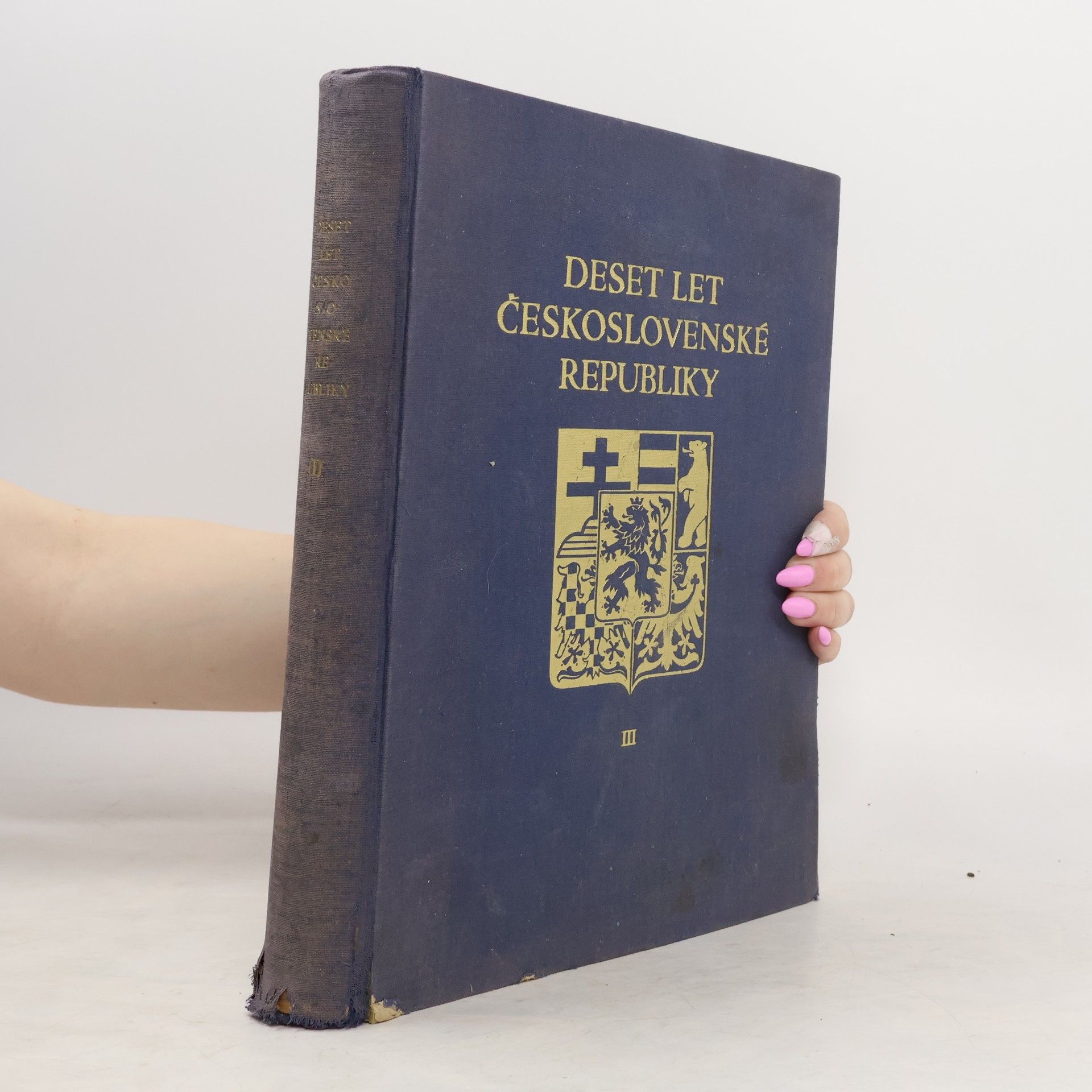 Kolektiv autorů Deset let Československé republiky III.