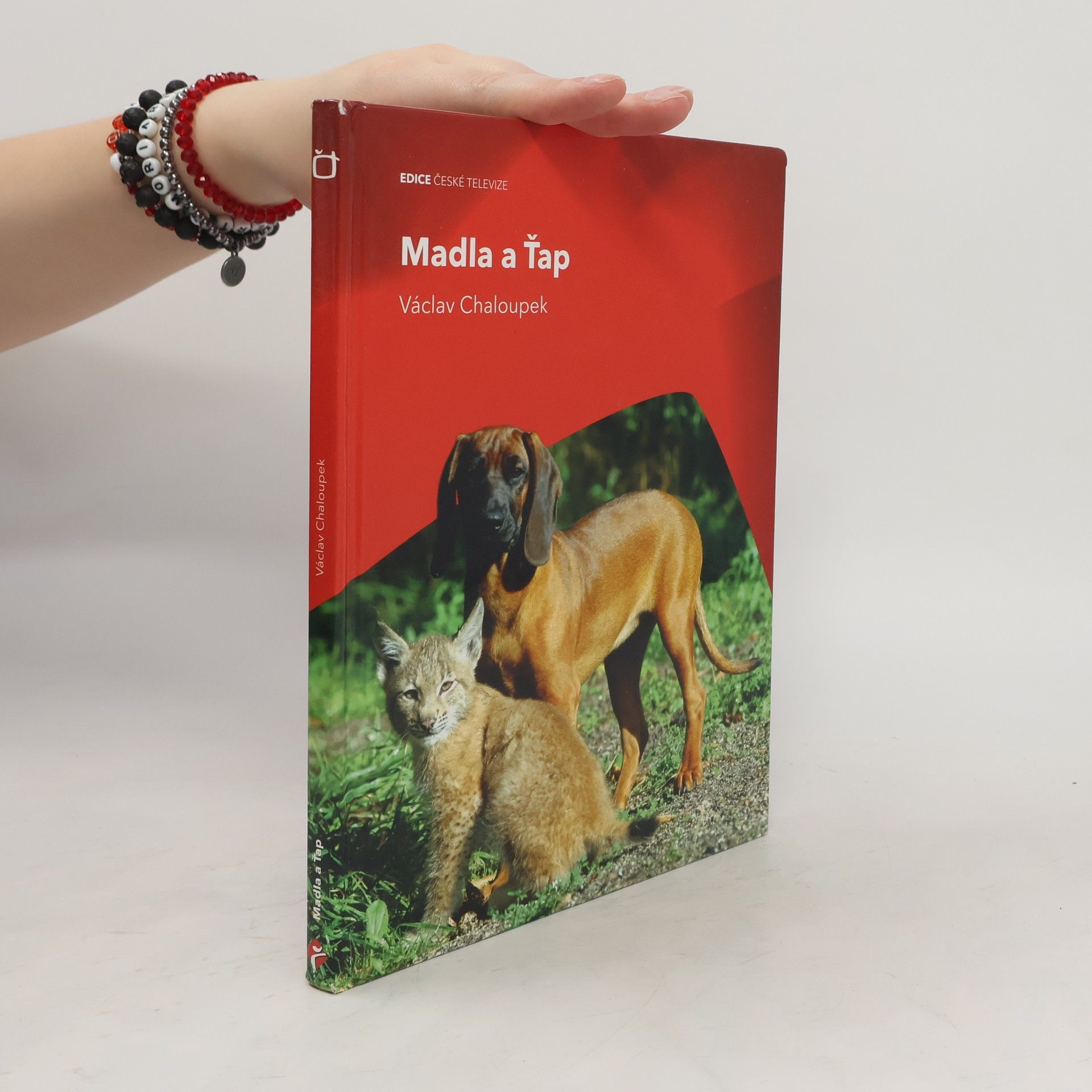 Václav Chaloupek Madla a Ťap