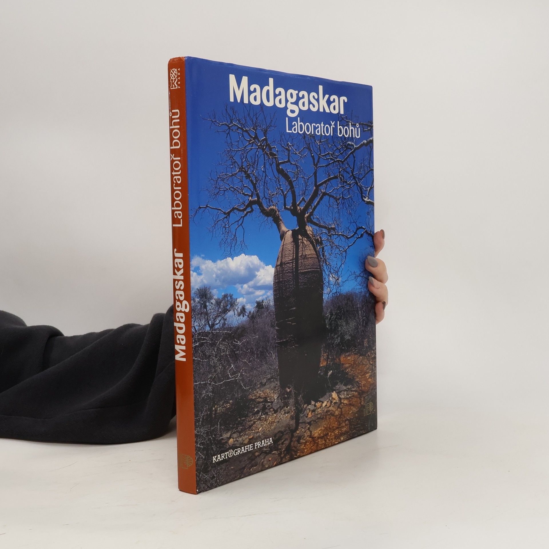 Růžena BeandapaKytlová Madagaskar : laboratoř bohů