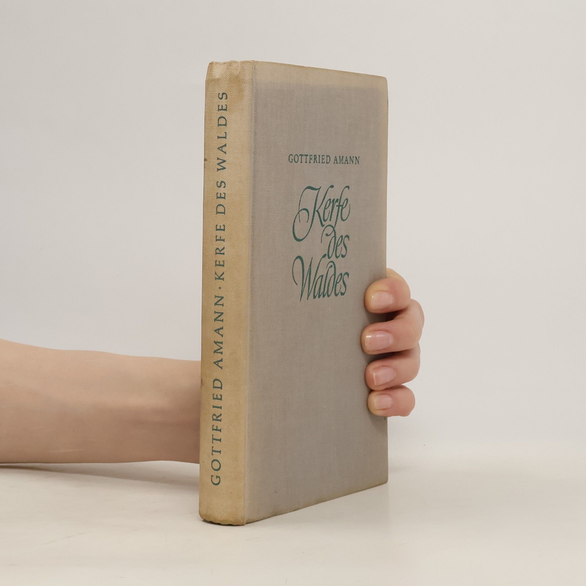 Gottfried Amann Kerfe des Waldes
