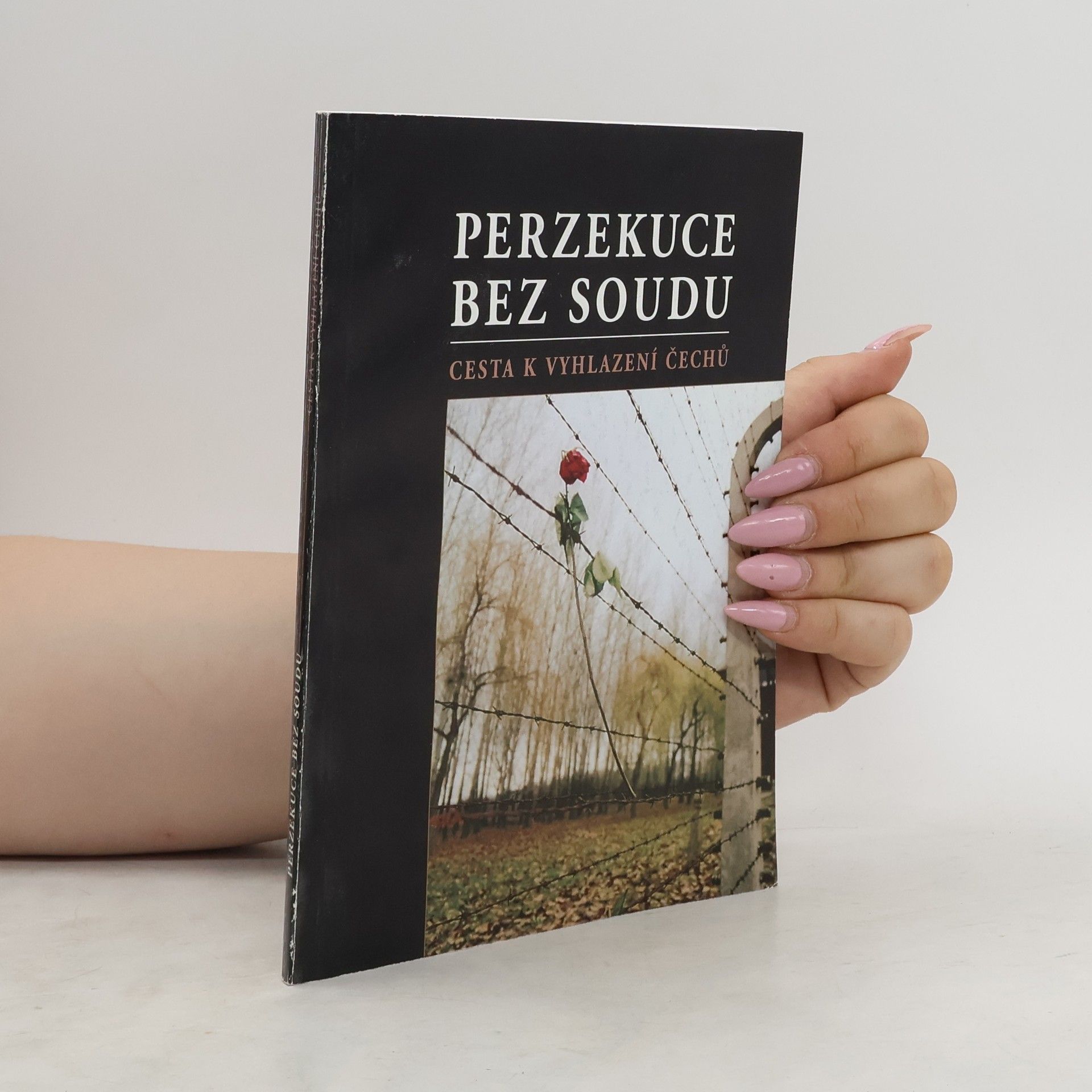Šárka Helmichová Perzekuce bez soudu