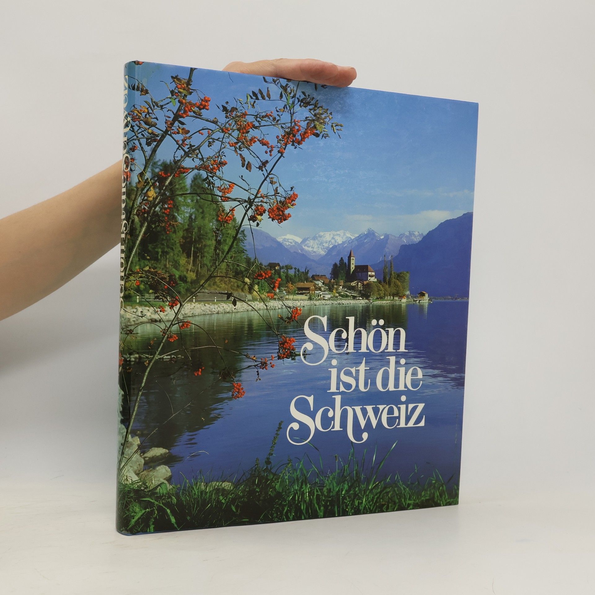 Autorenkollektiv Schön ist die Schweiz