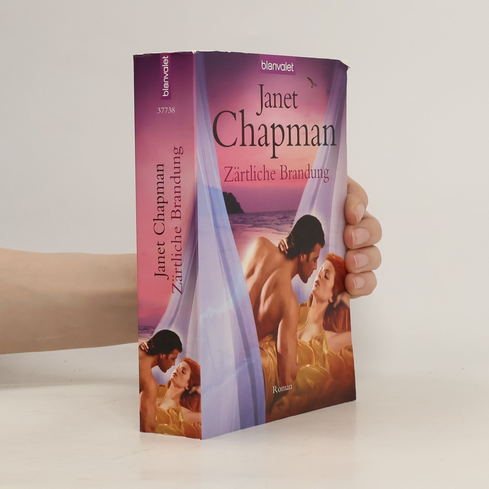 Janet Chapman Zärtliche Brandung. Roman