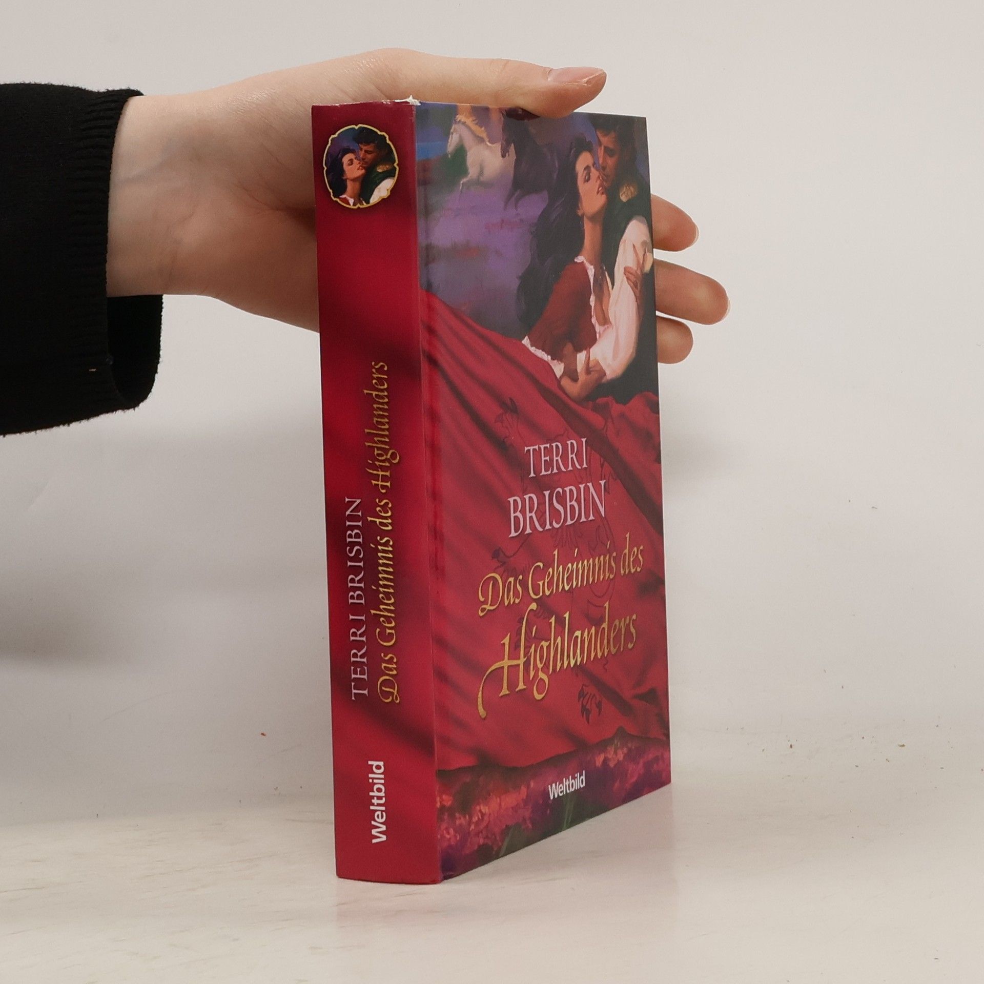 Terri Brisbin Das Geheimnis des Highlanders