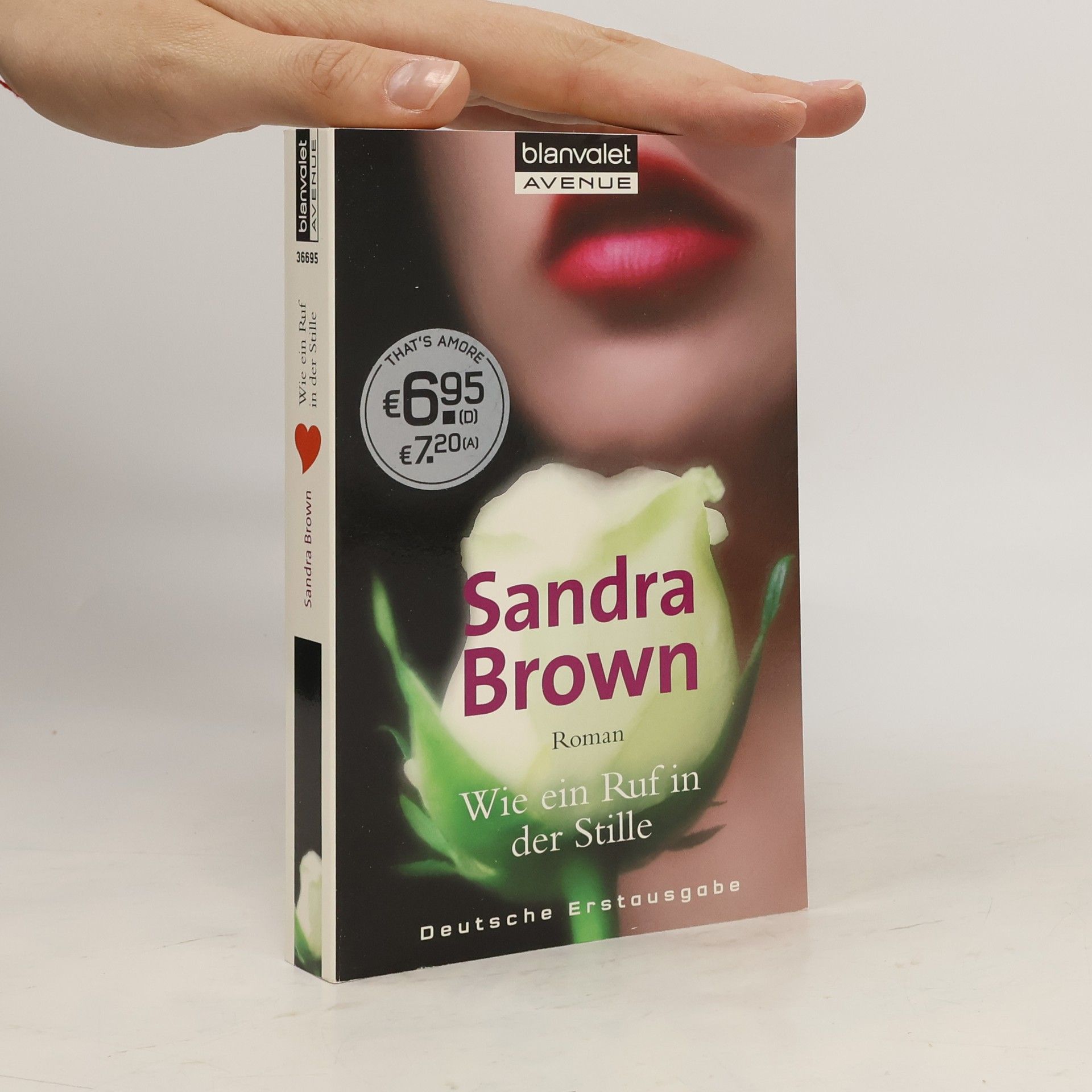 Sandra Brown Wie ein Ruf in der Stille