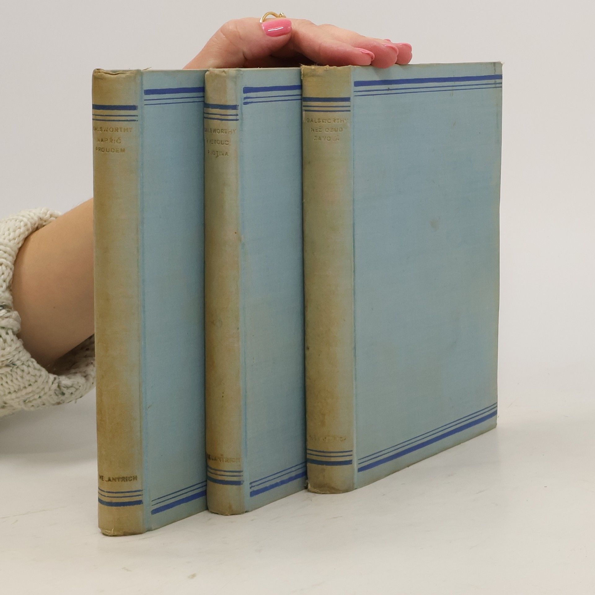 John Galsworthy Poslední kapitola 1-3