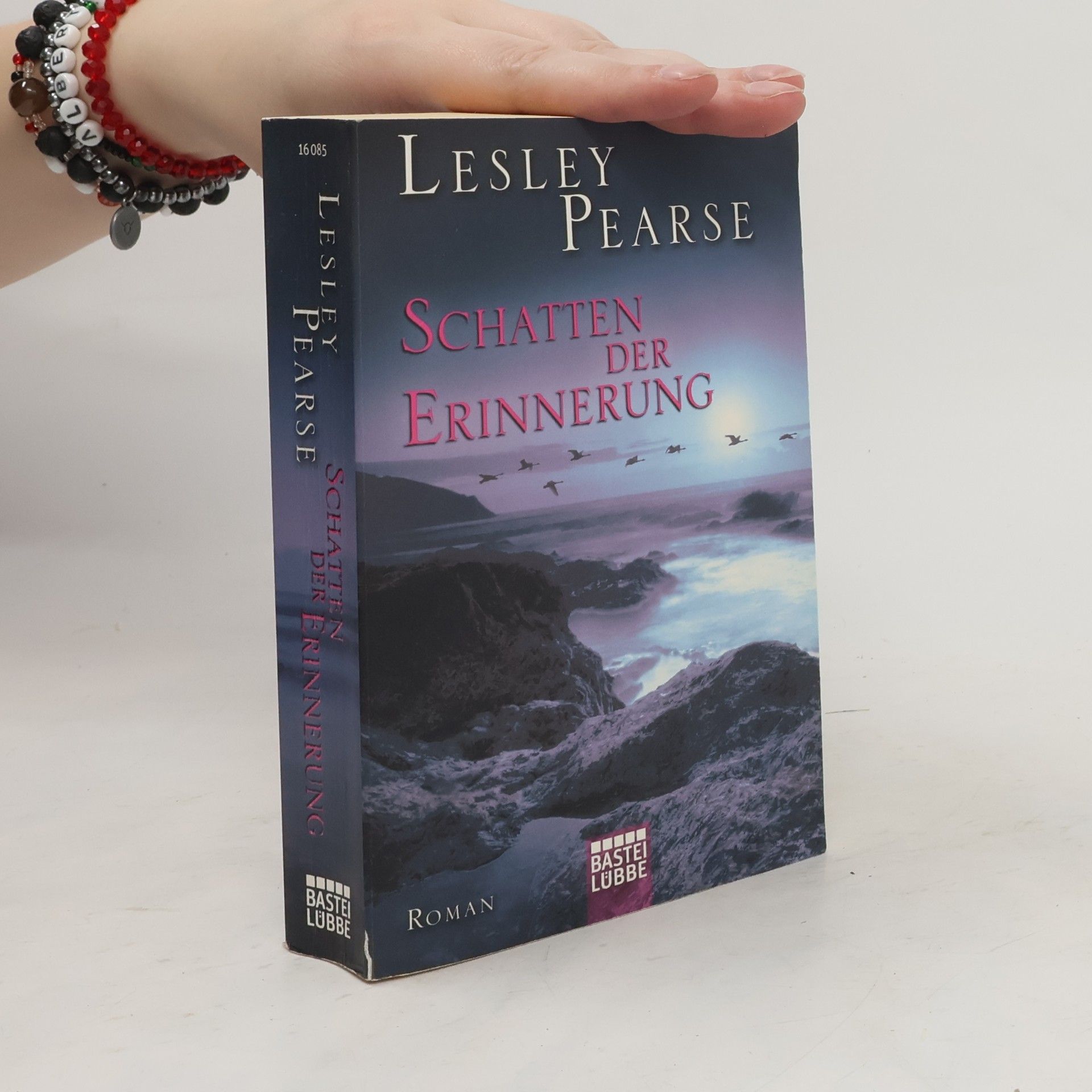 Lesley Pearse Schatten der Erinnerung