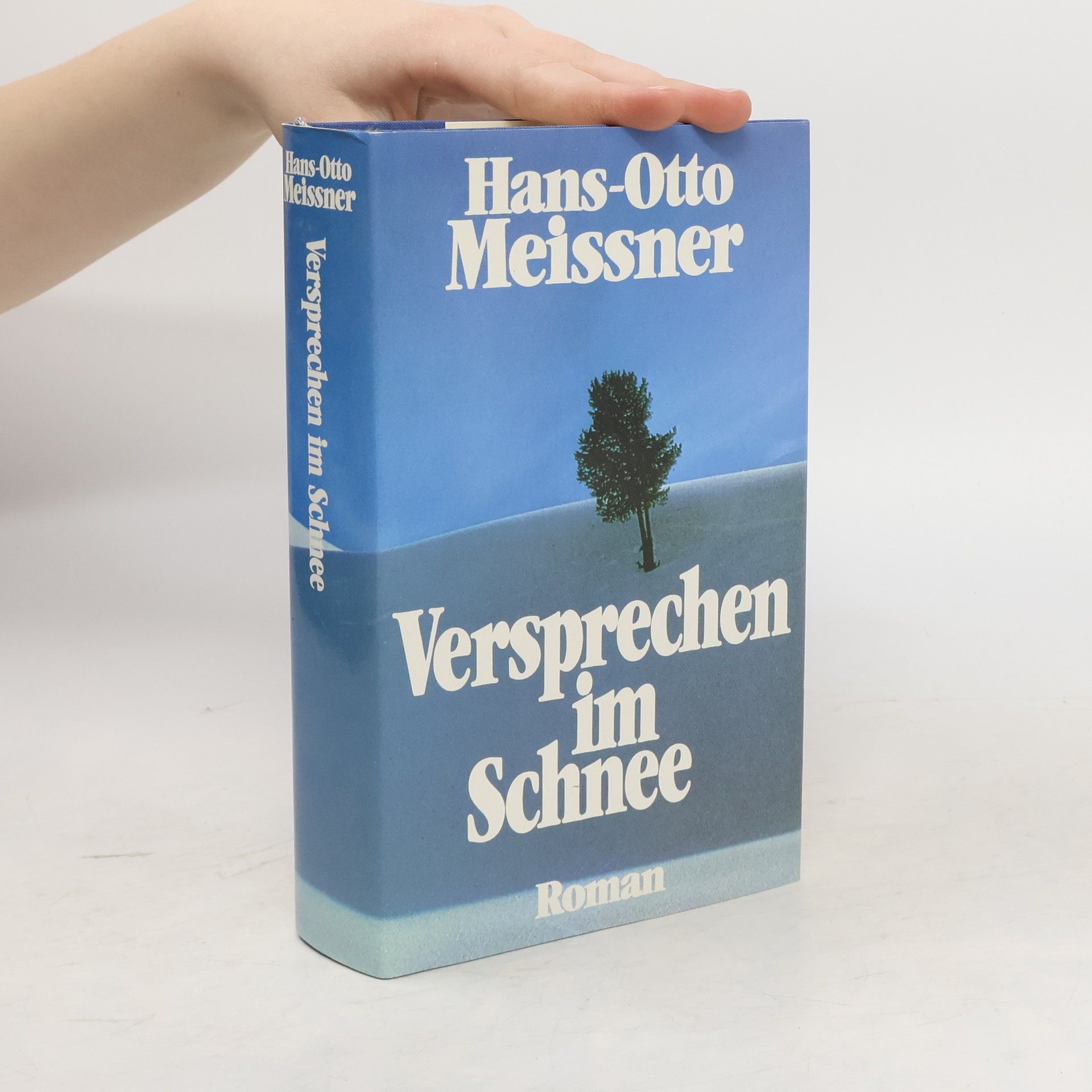 Hans-Otto Meissner Versprechen im Schnee
