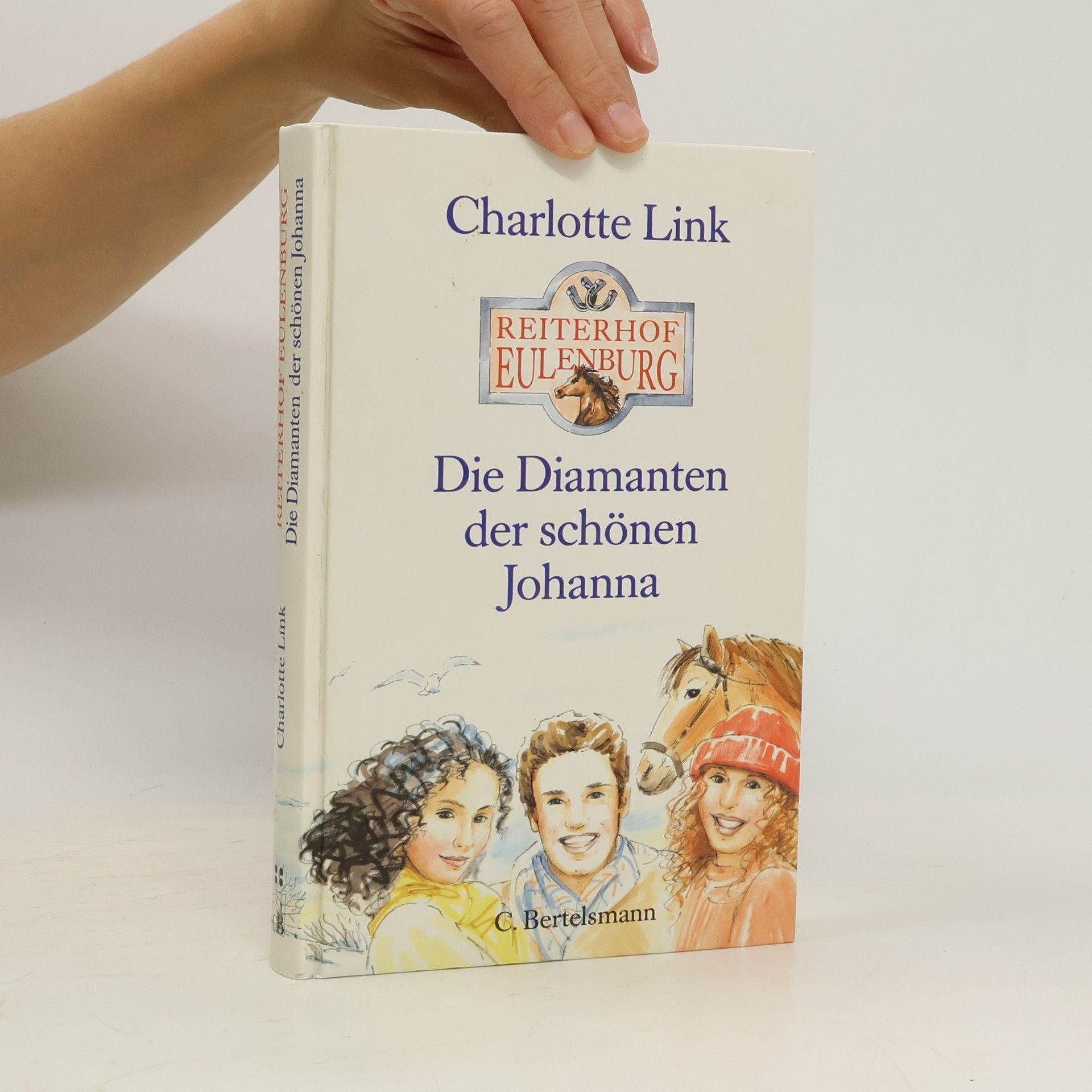 Charlotte Link Die Diamanten der schönen Johanna