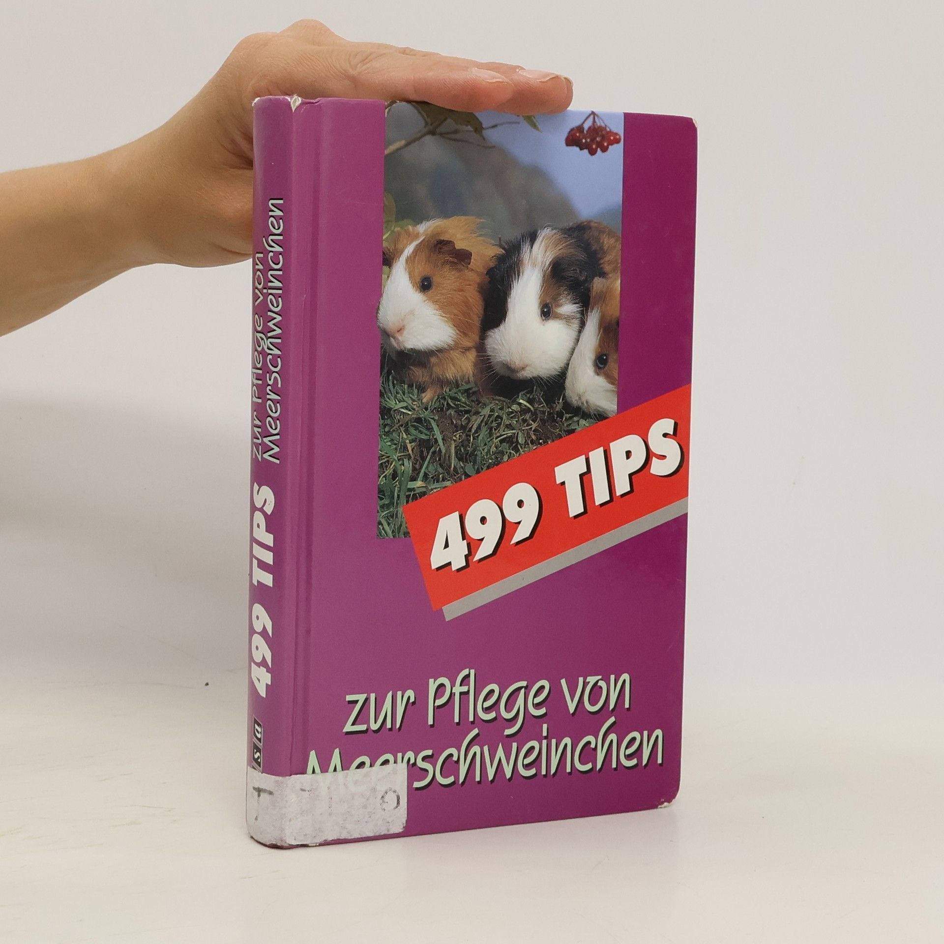Maximilian Lang 499 Tips zur Pflege von Meerschweinchen
