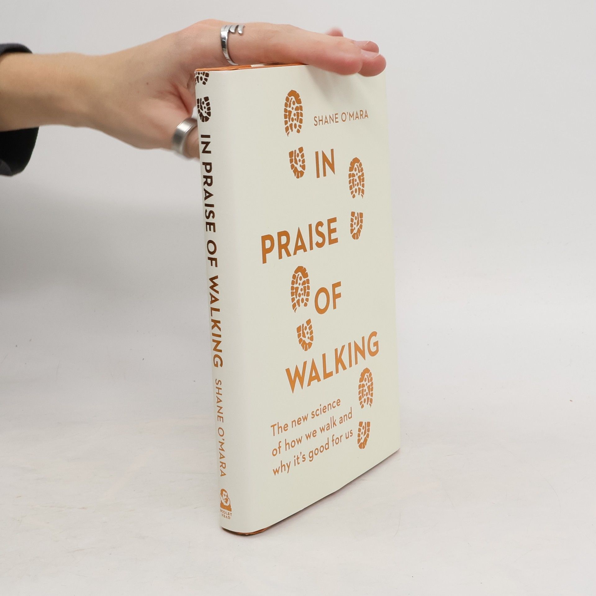 Shane O'Mara In Praise of Walking