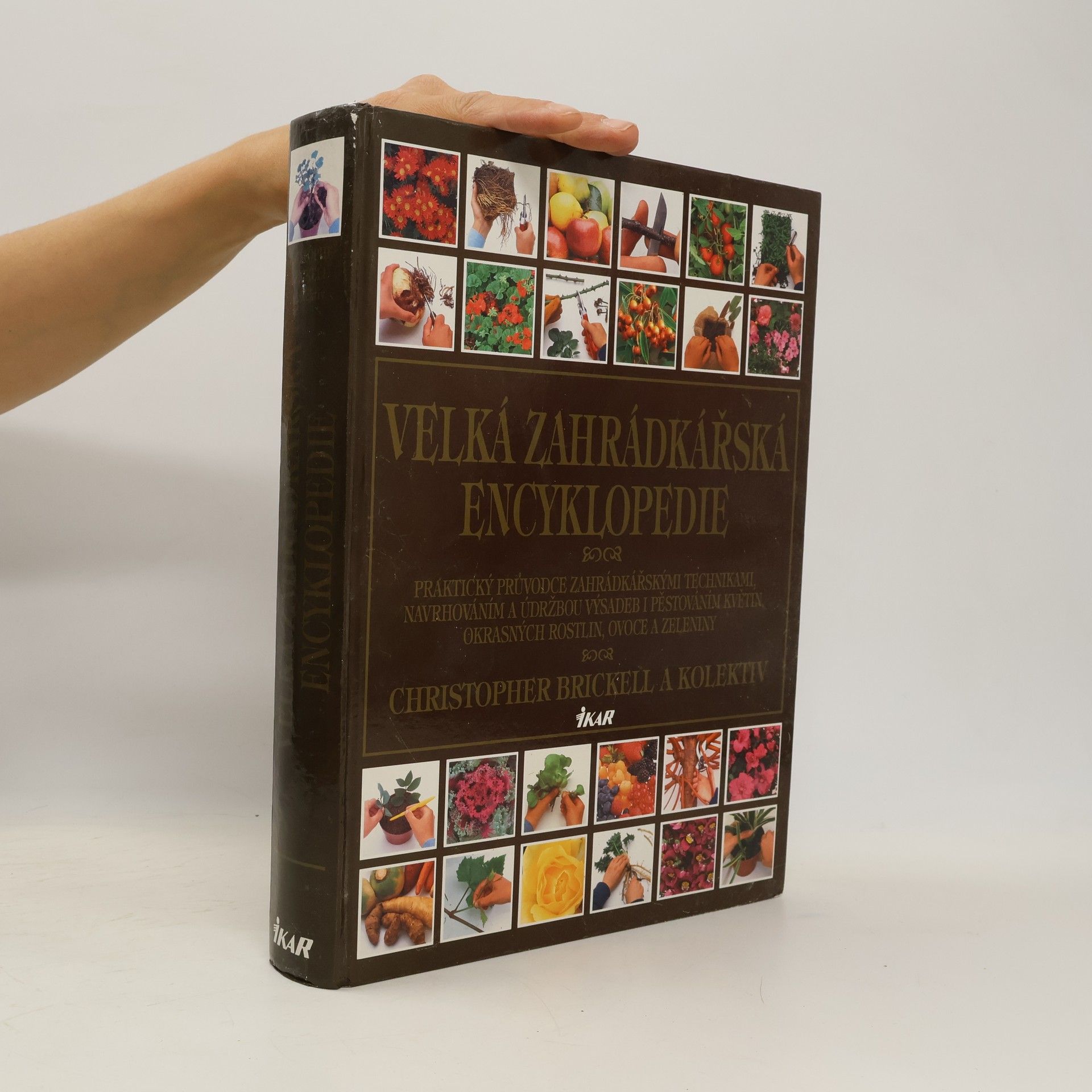 Collectif d'auteurs Velká zahrádkářská encyklopedie