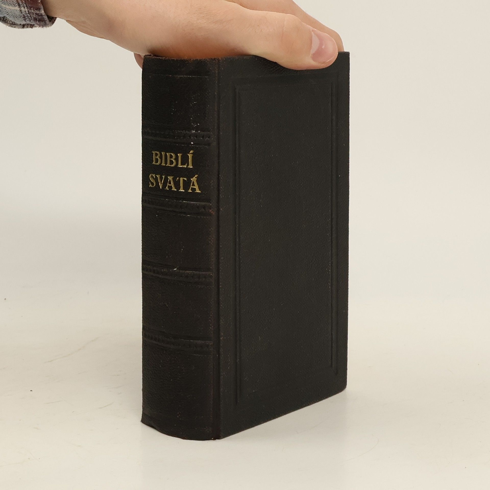 Kolektiv autorů Biblí svatá aneb Všecka svatá písma Starého i Nového zákona podle posledního vydání kralického z roku 1613