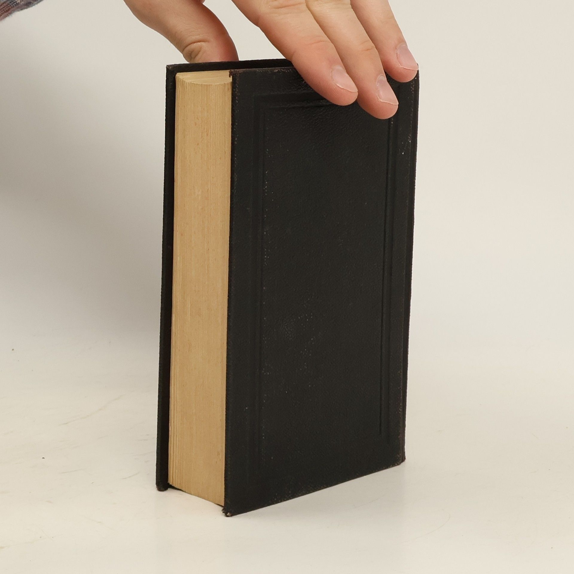 Kolektiv autorů Biblí svatá aneb Všecka svatá písma Starého i Nového zákona podle posledního vydání kralického z roku 1613