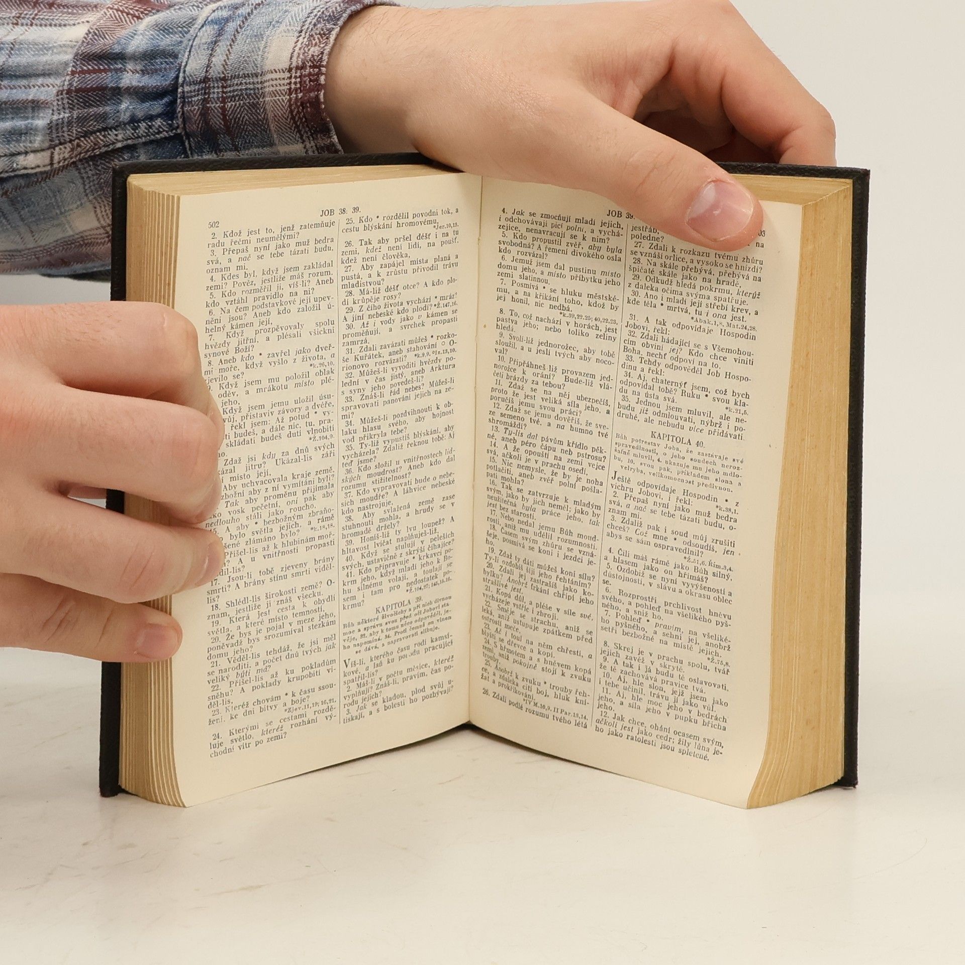 Kolektiv autorů Biblí svatá aneb Všecka svatá písma Starého i Nového zákona podle posledního vydání kralického z roku 1613