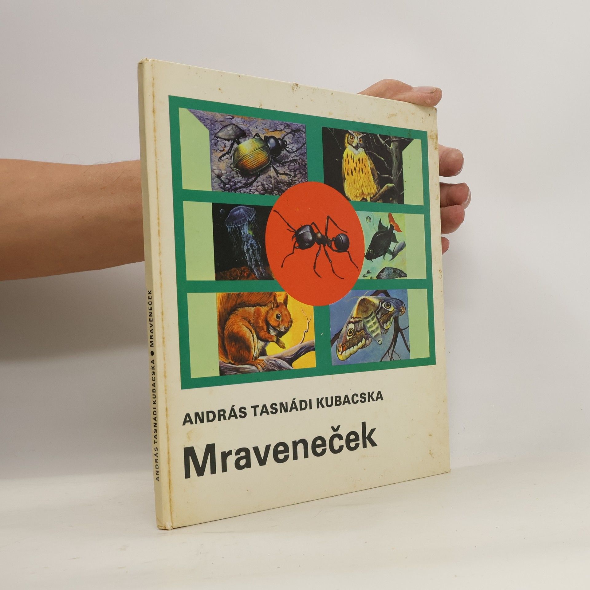 András Tasnádi Kubacska Mraveneček
