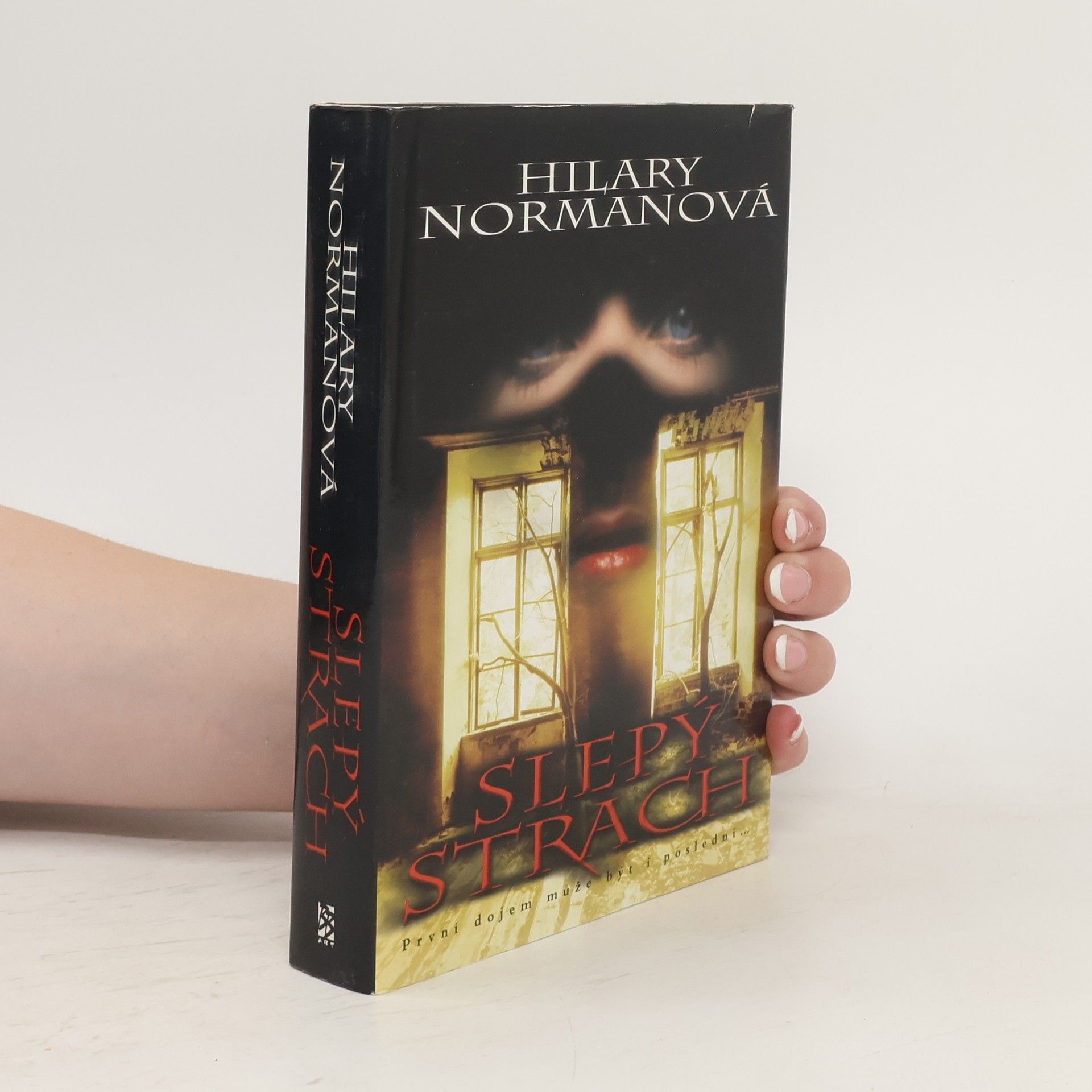 Hilary Norman Slepý strach
