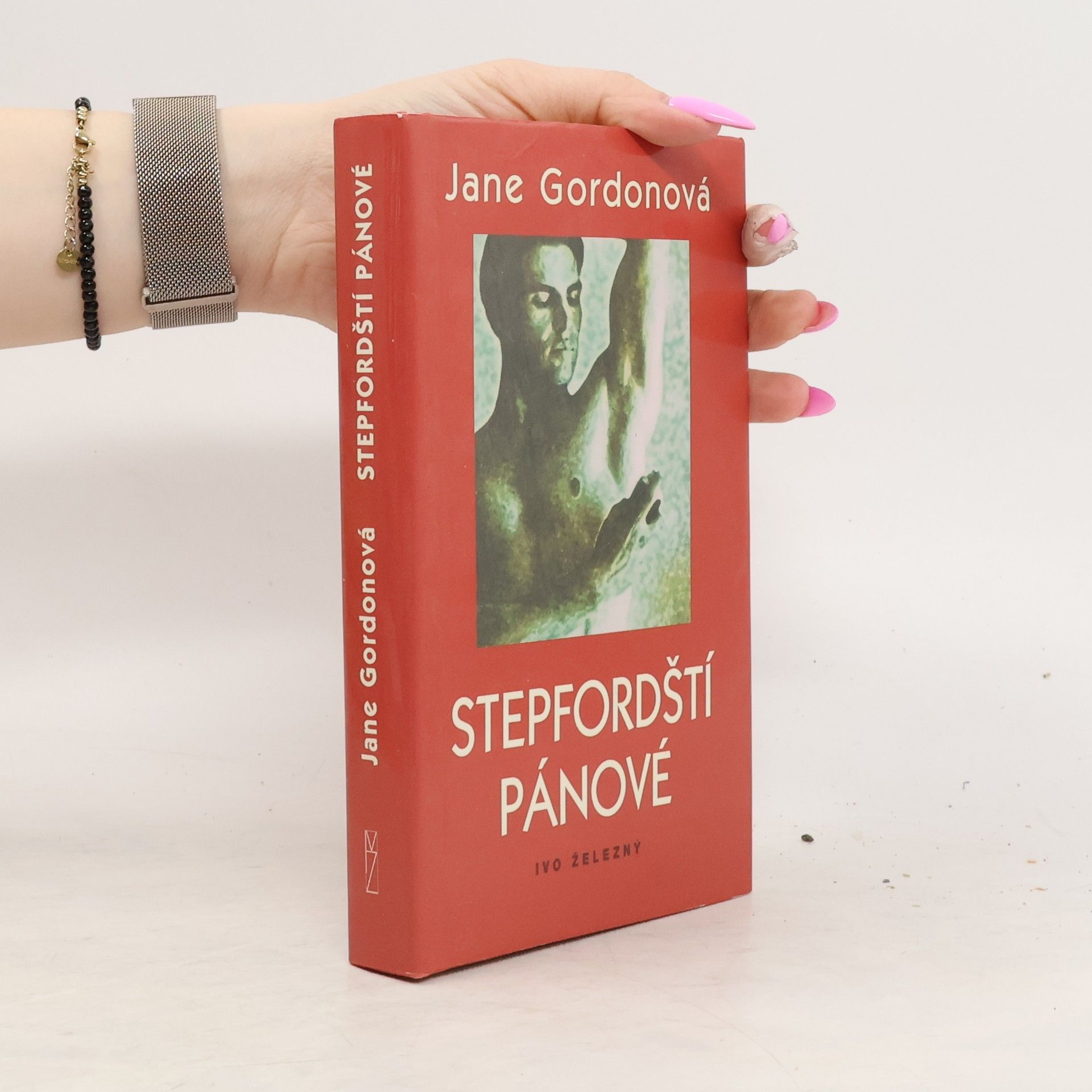 Jane Gordon-Clark Stepfordští pánové