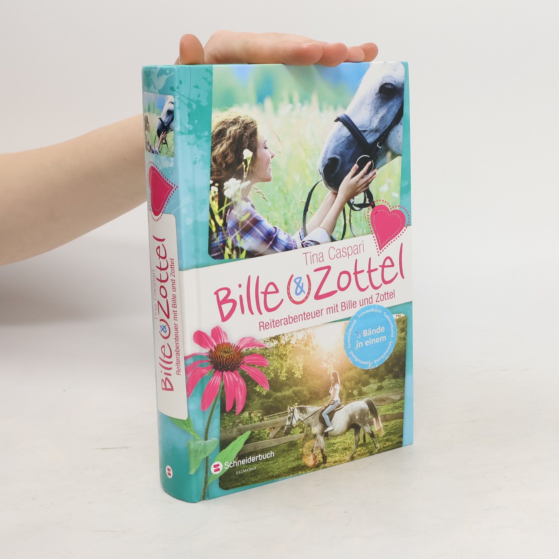 Tina Caspari Reiterabenteuer mit Bille und Zottel