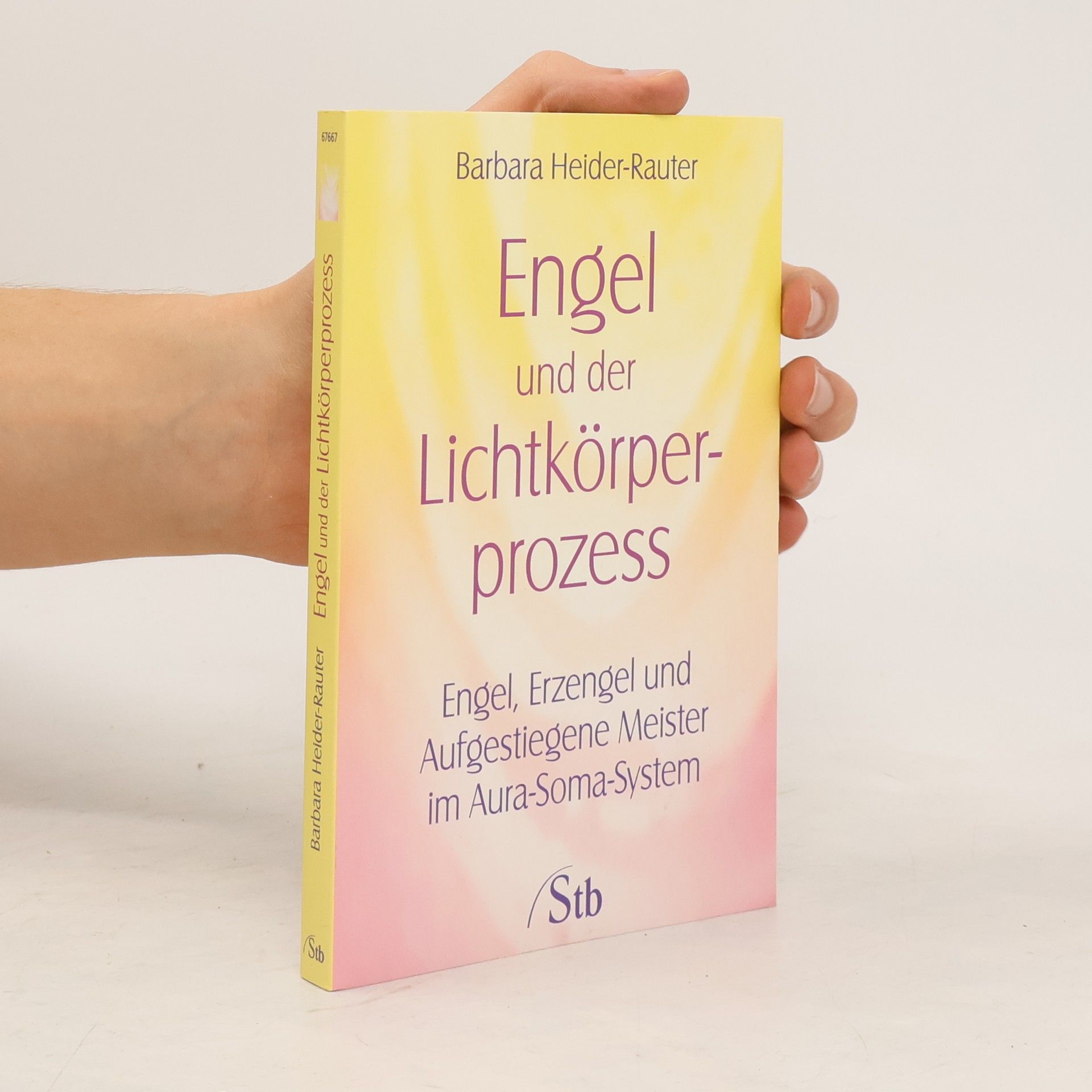 Barbara Heider Rauter Engel und der Lichtkörper-Prozess