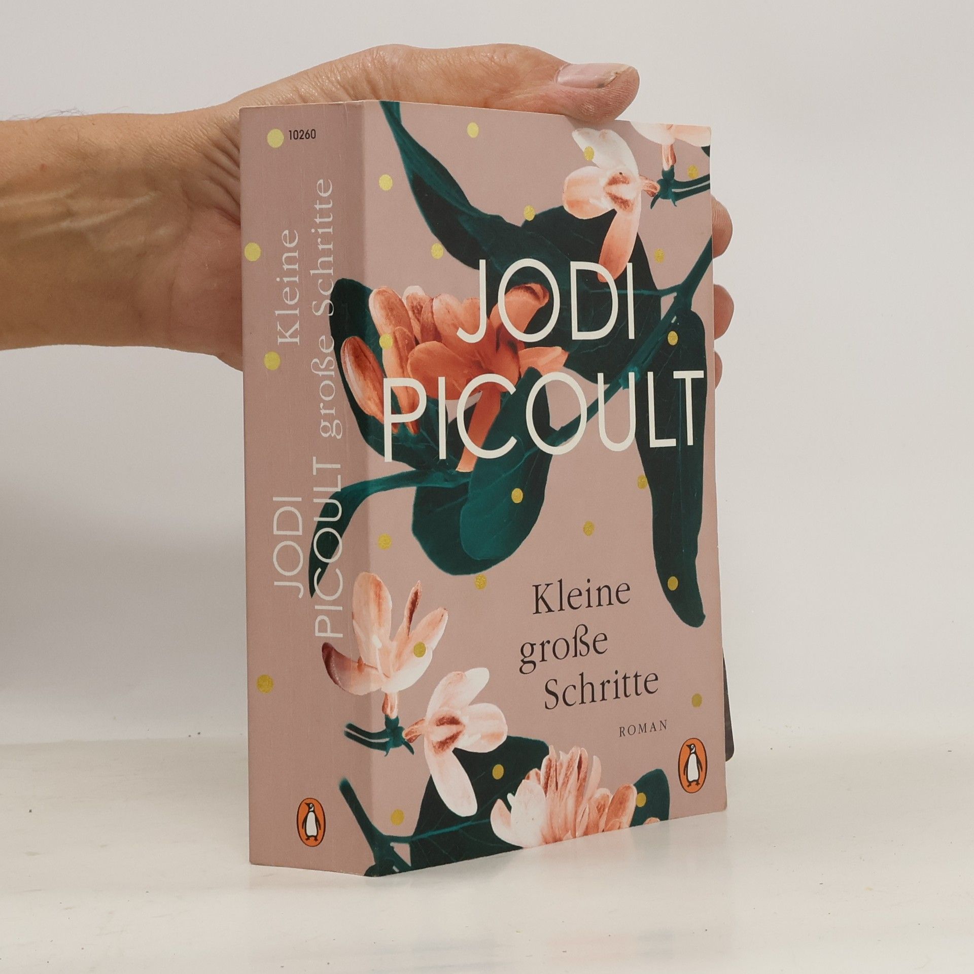 Jodi Picoult Kleine große Schritte