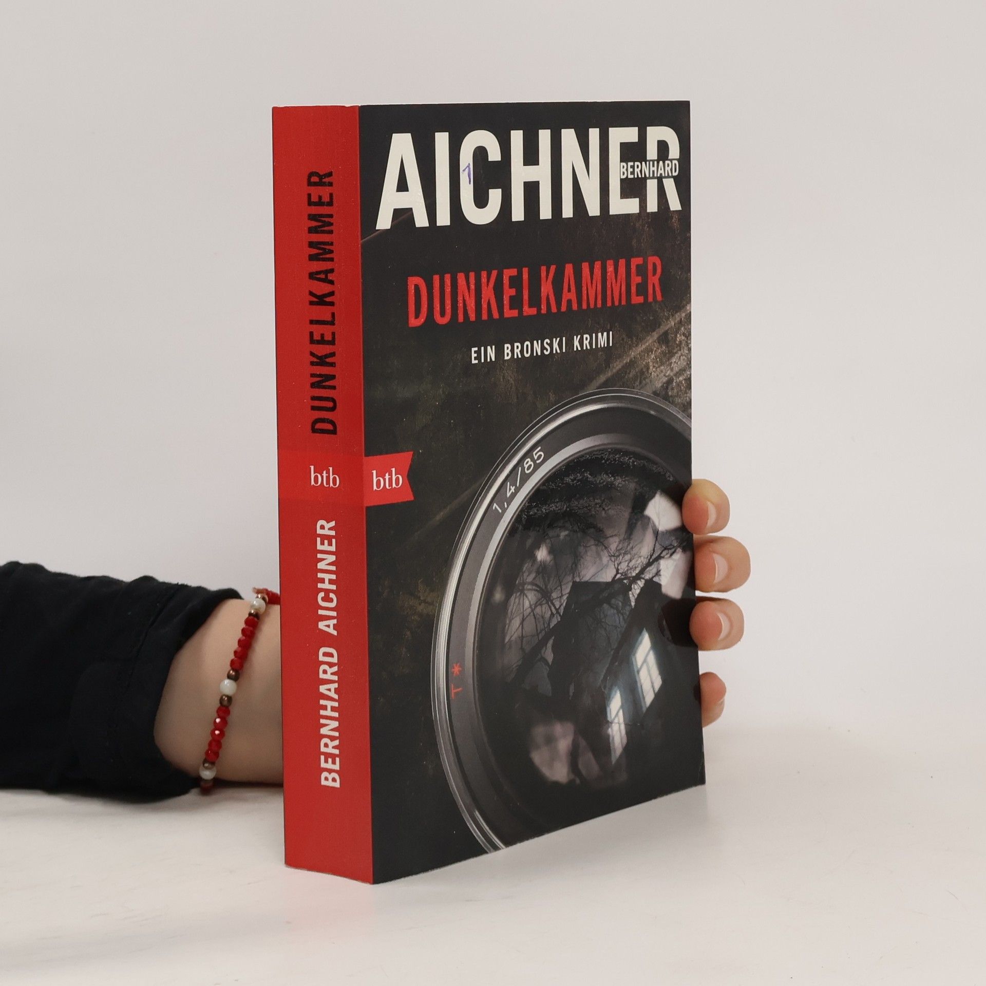 Bernhard Aichner Dunkelkammer