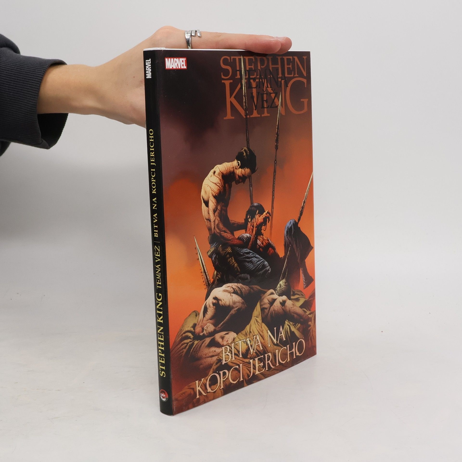 Robin Furth Temná věž 5: Bitva na kopci Jericho