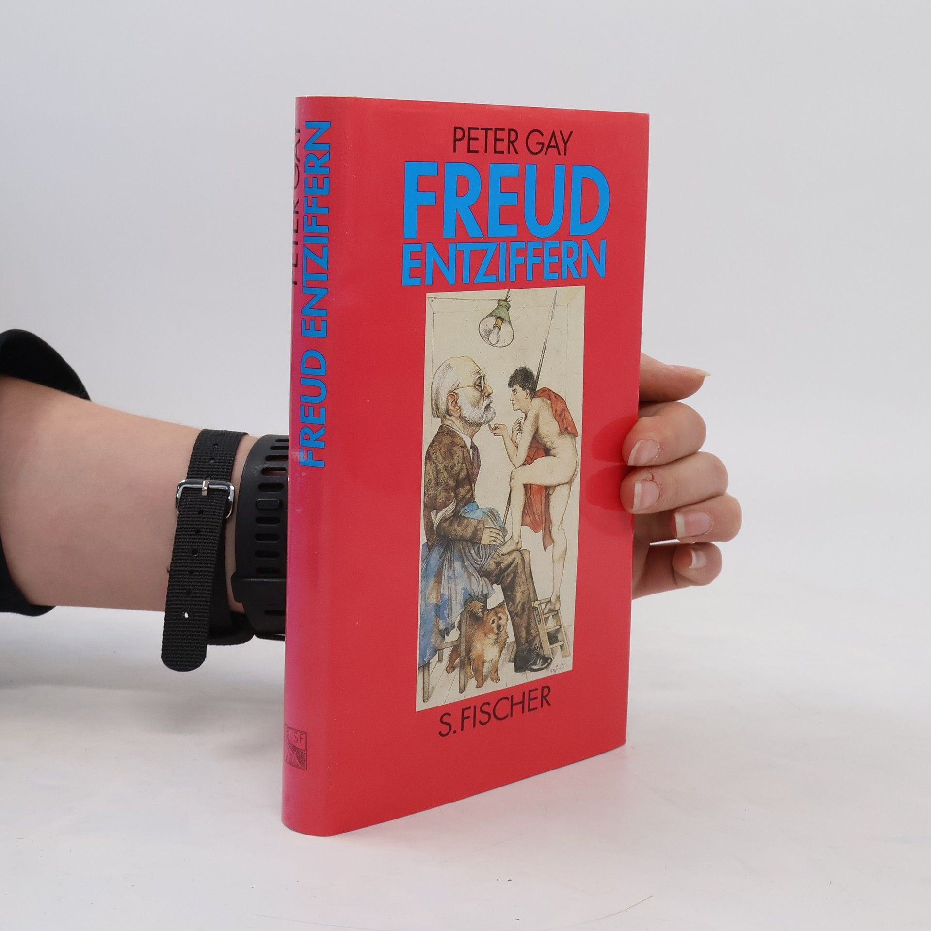 Peter Gay Freud entziffern