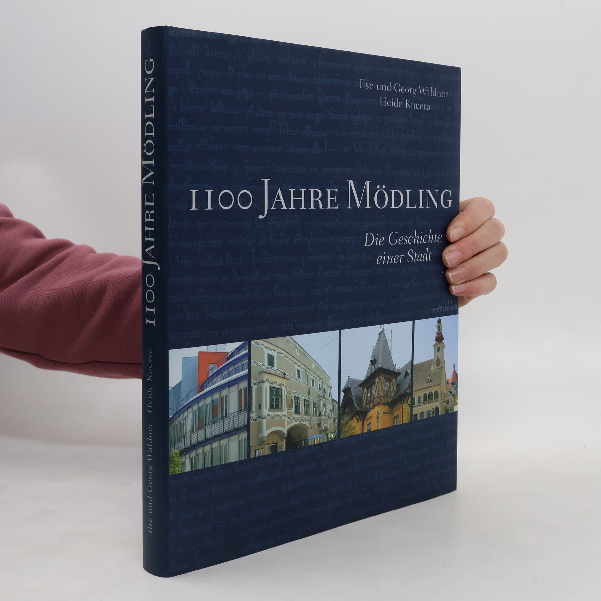 Autorenkollektiv 1100 Jahre Mödling