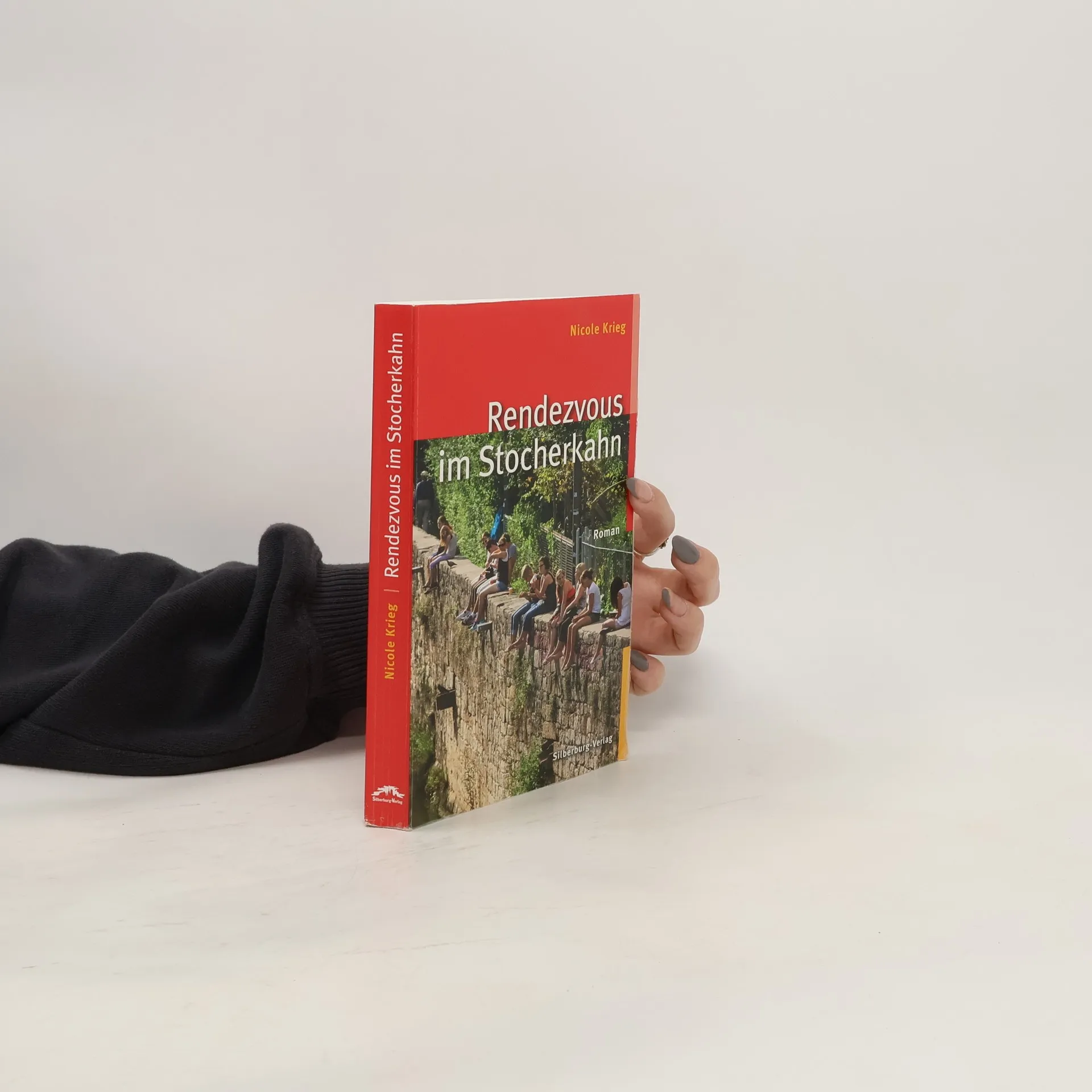 Rendezvous im Stocherkahn | Kniha | Nicole Krieg | DE