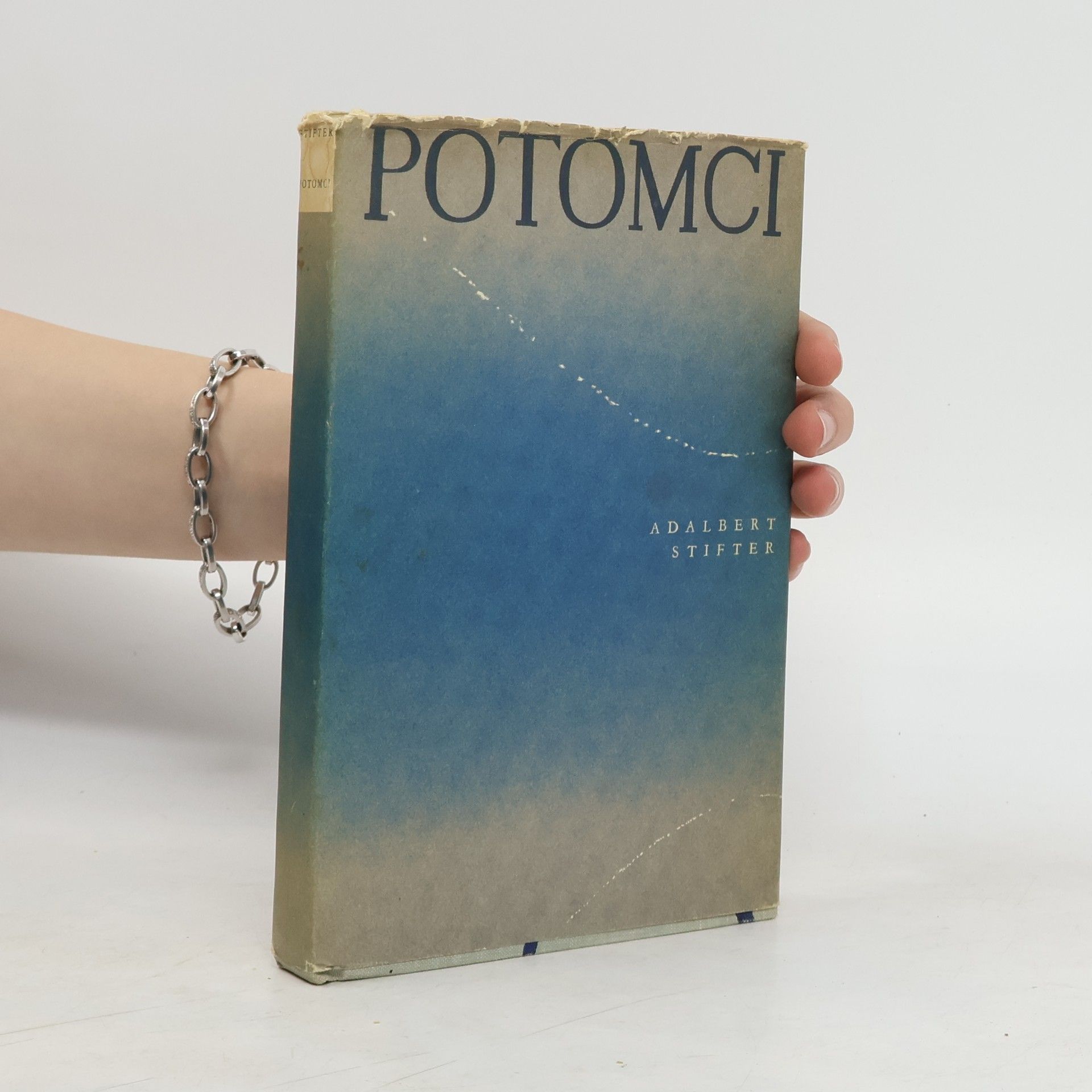 Adalbert Stifter Potomci