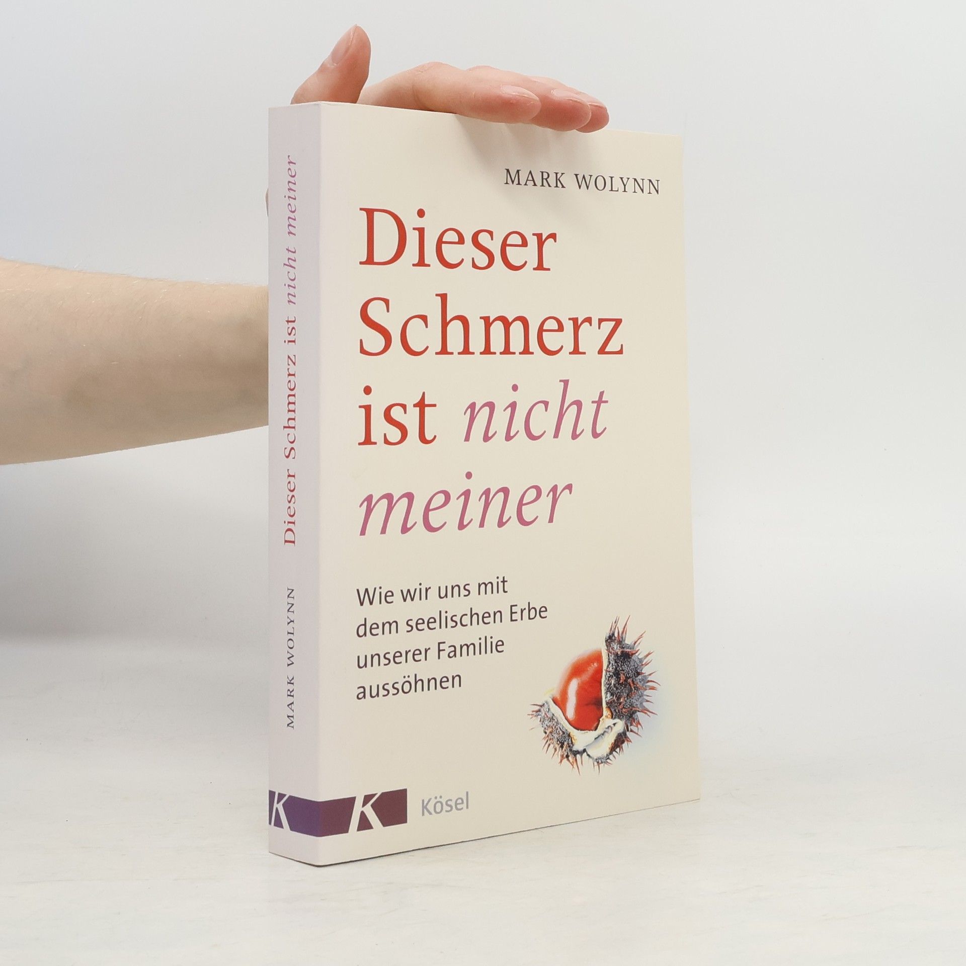 Mark Wolynn Dieser Schmerz ist nicht meiner