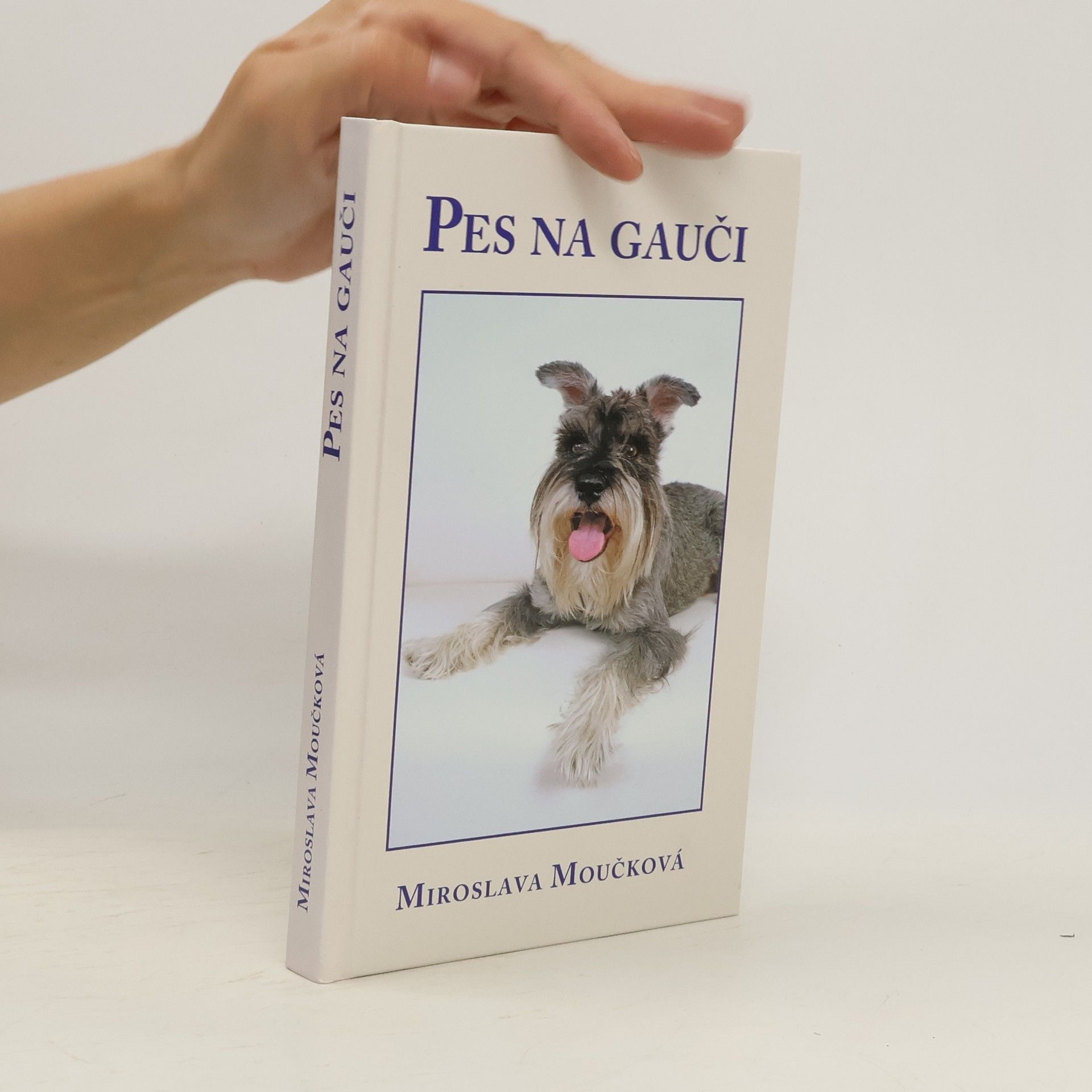 Miroslava Moučková Pes na gauči