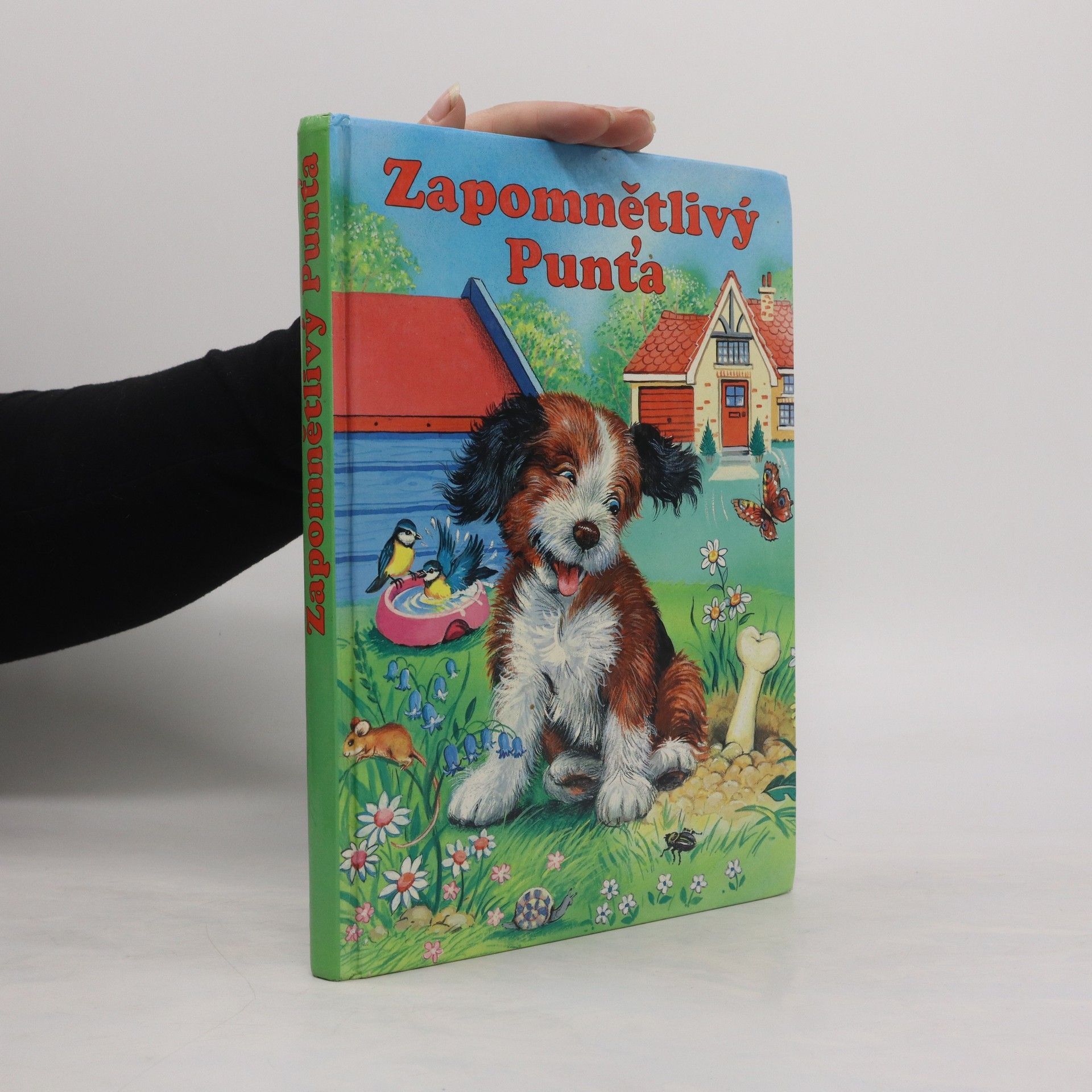 Elke Meinardus Zapomnětlivý Punťa